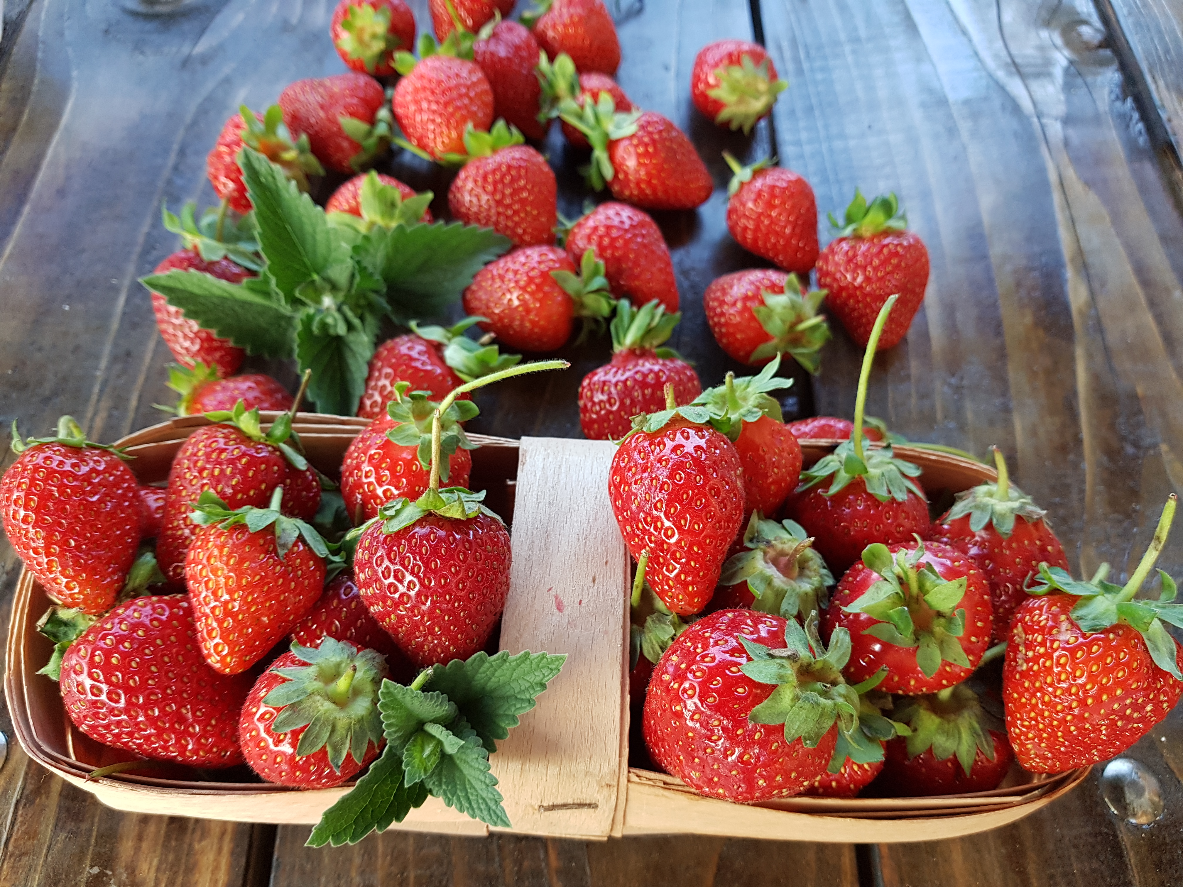 Free photo Ripe strawberries on the table