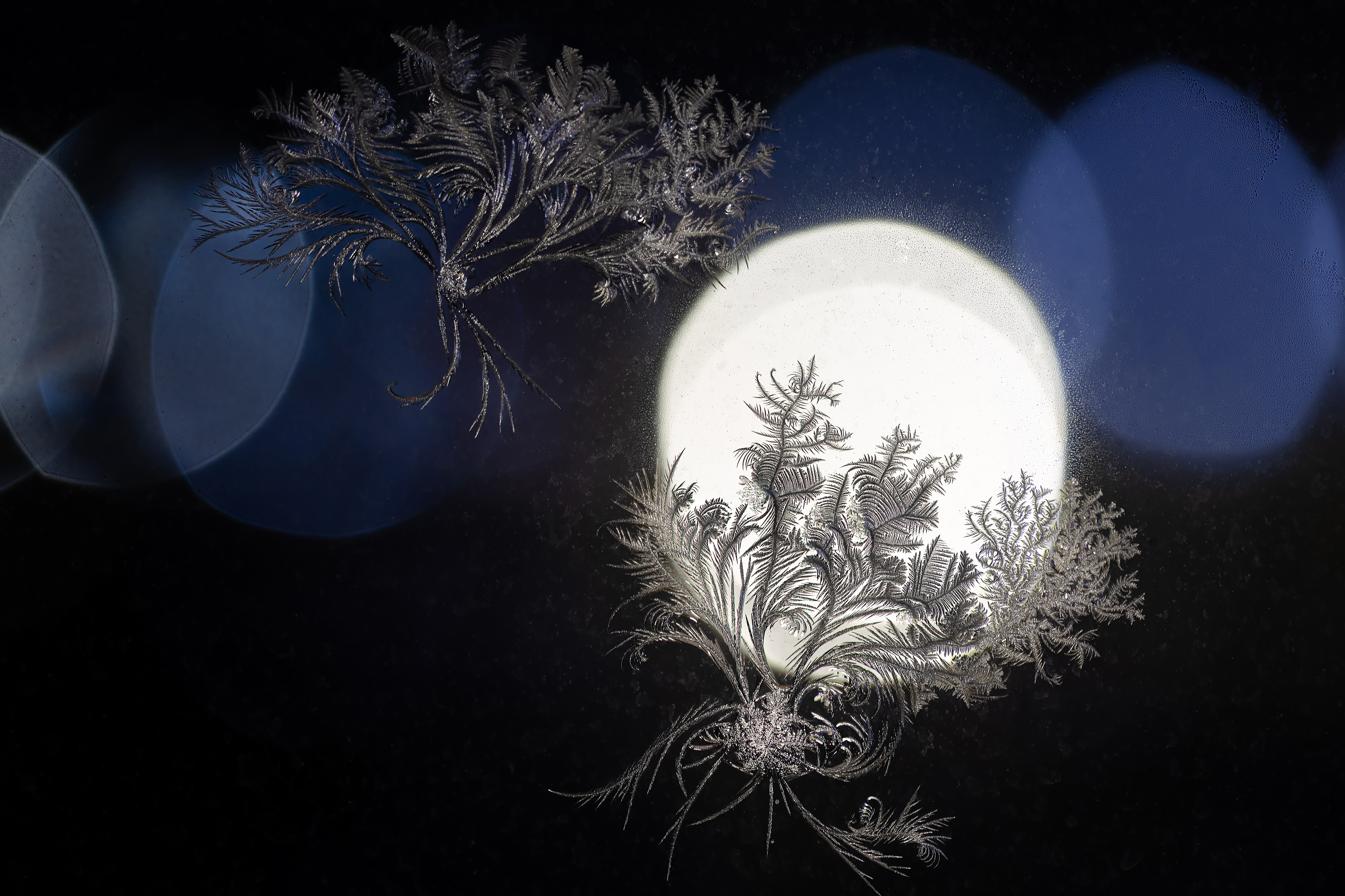 Бесплатное фото Морозные узоры на стекле на фоне ночи