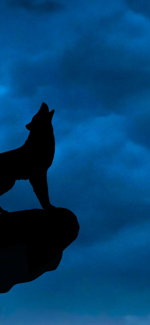 Бесплатное фото Волк воет на краю скалы на фоне Луны