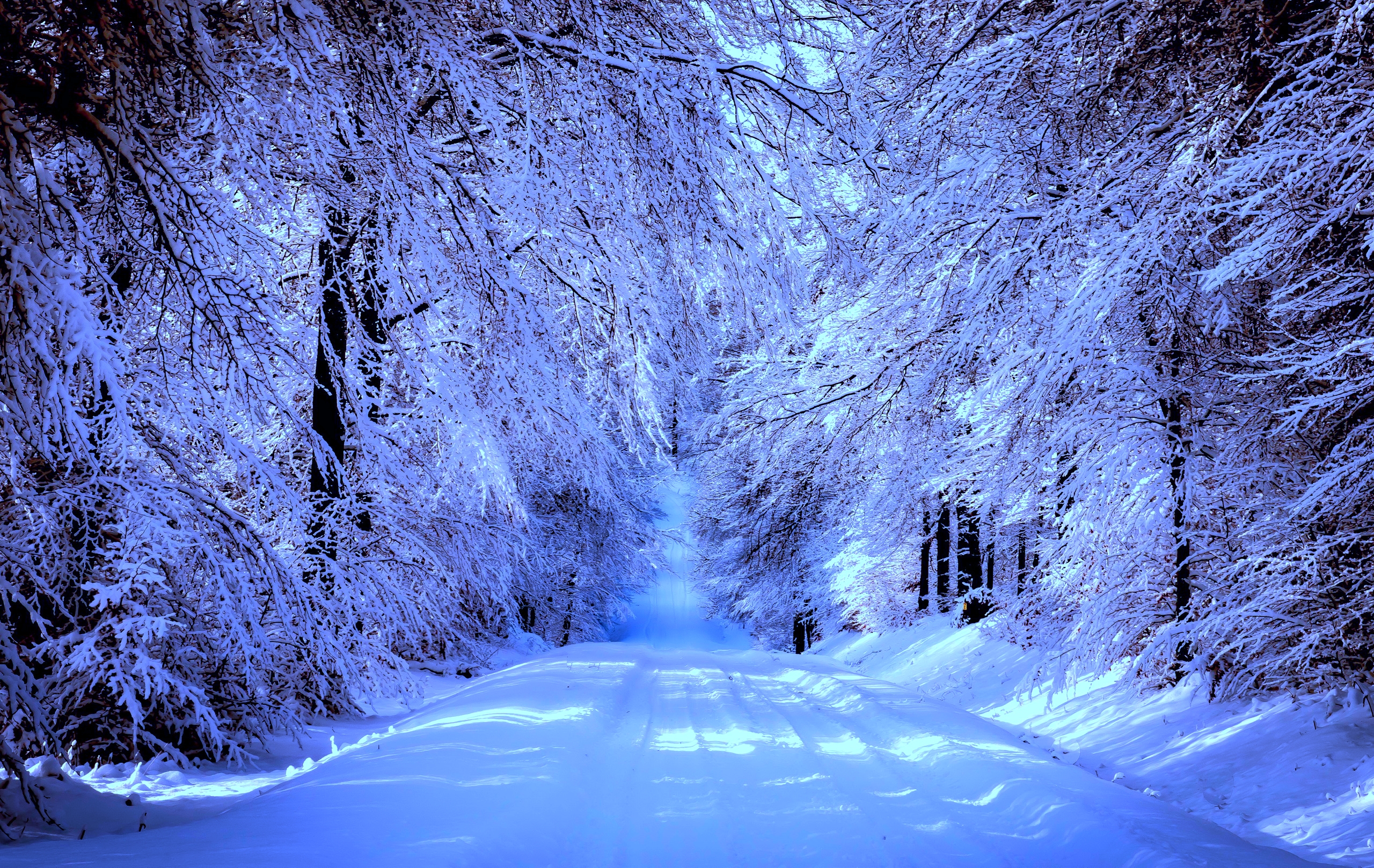 美丽的墙纸冬天，道路，森林