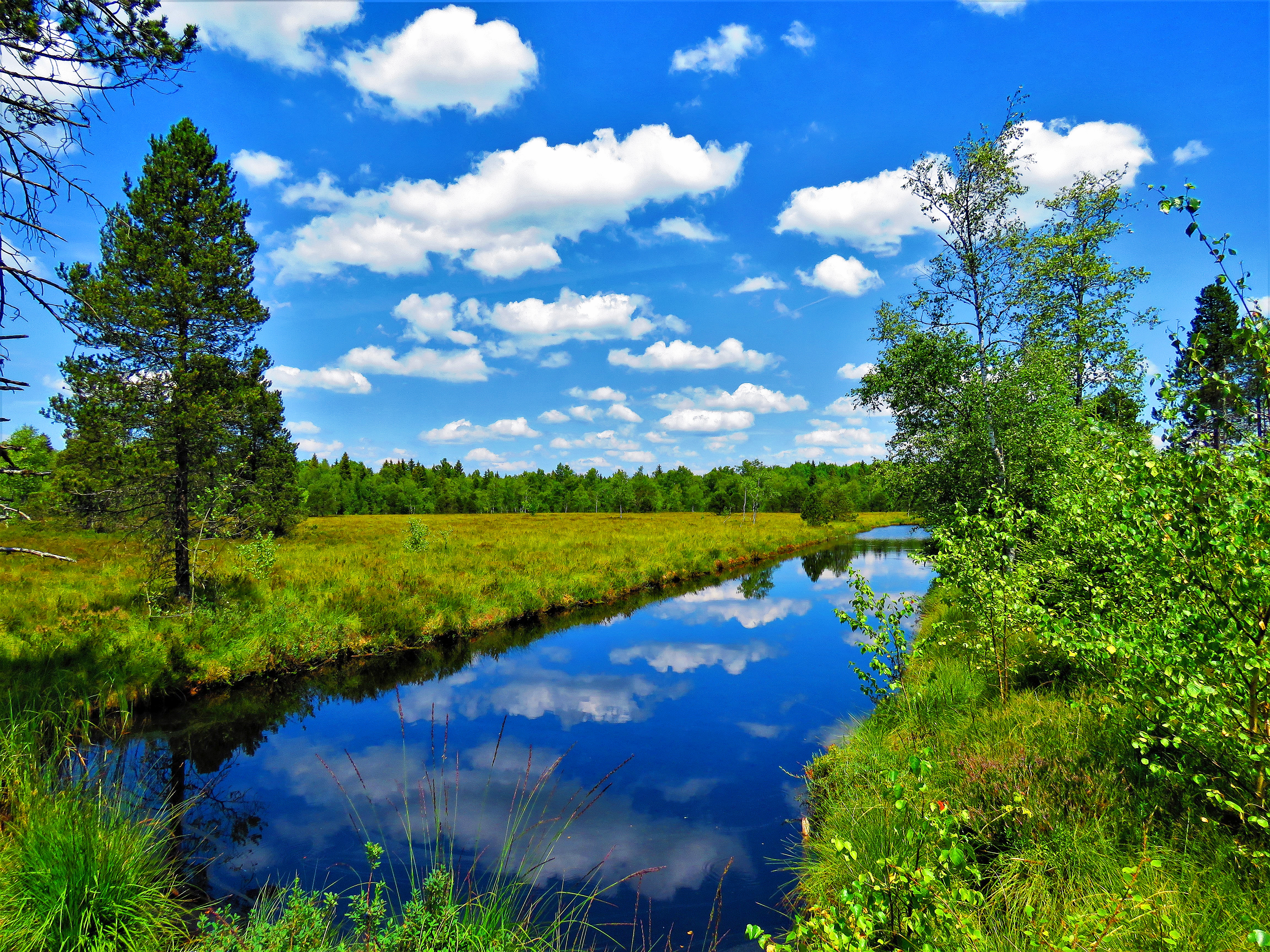 Wallpapers summer lake pond on the desktop