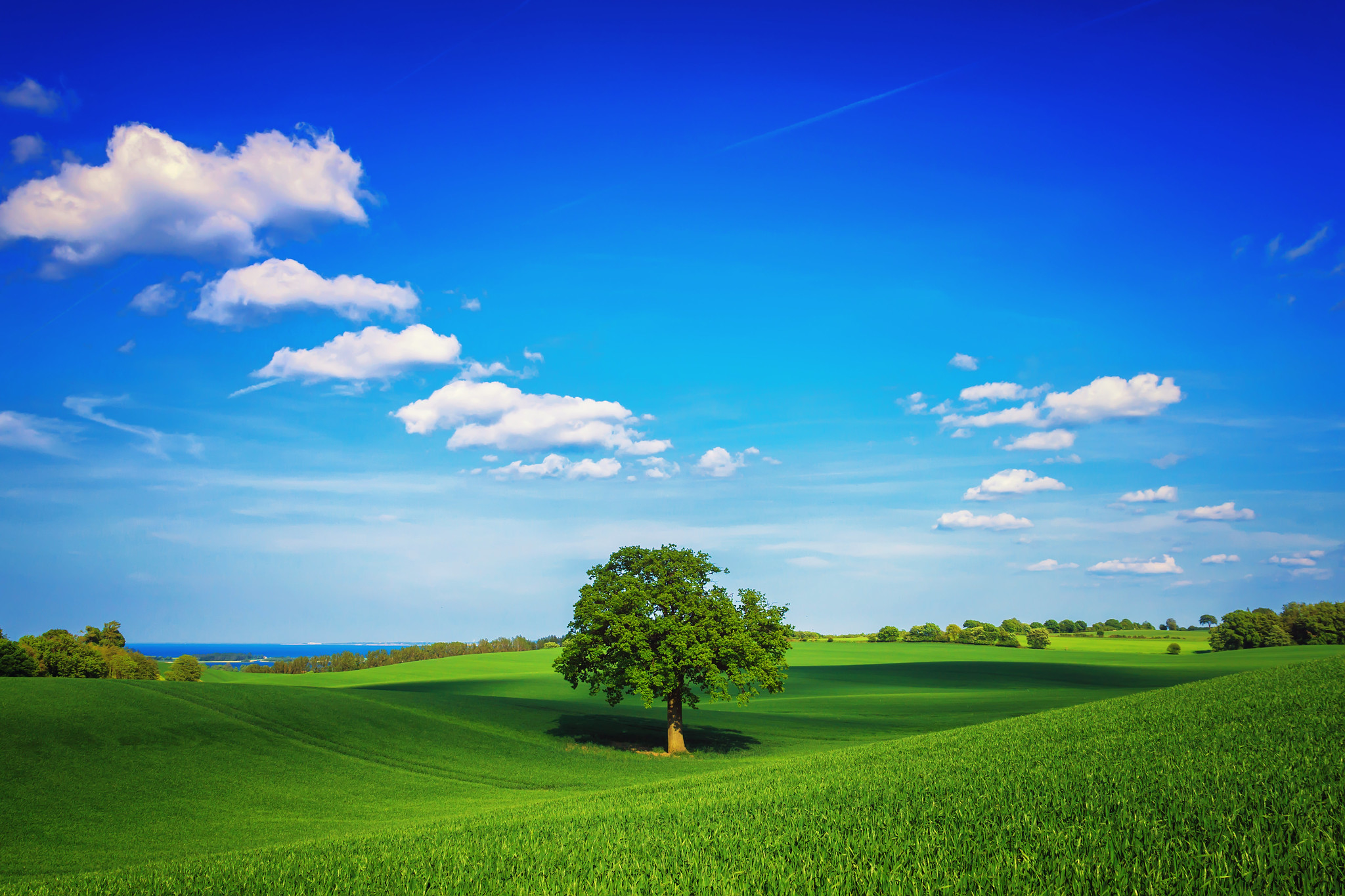 Free photo Download wallpaper field, hills, grass