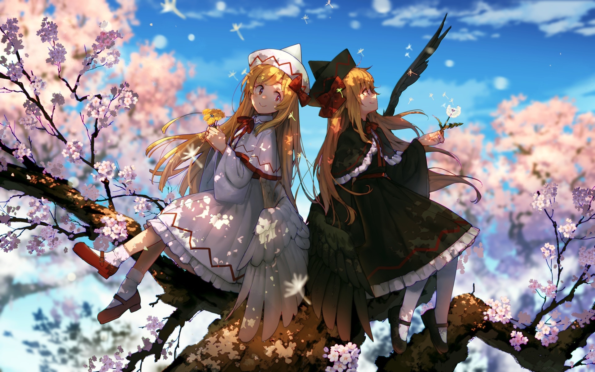 桌面上的壁纸东宝壁纸 白百合 黑百合