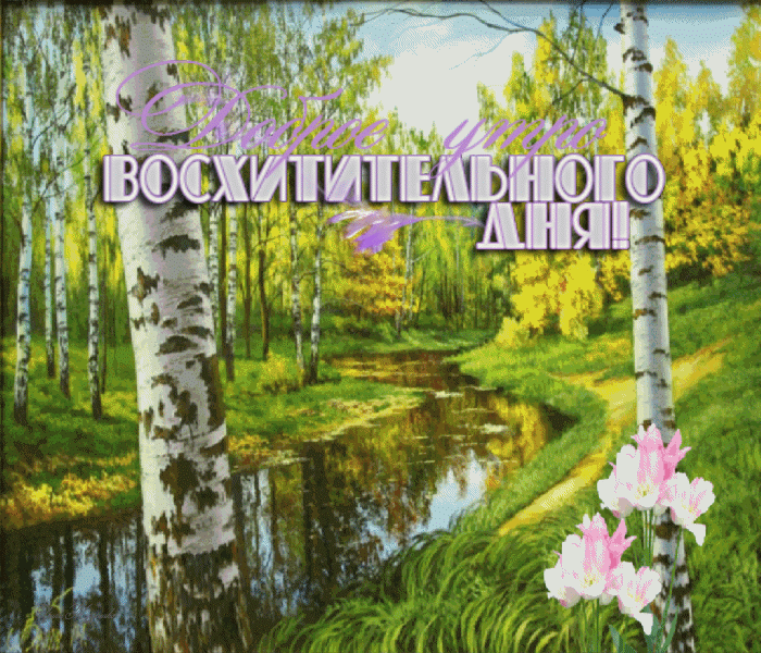 Открытка на тему цветы пейзажи река скачать бесплатно