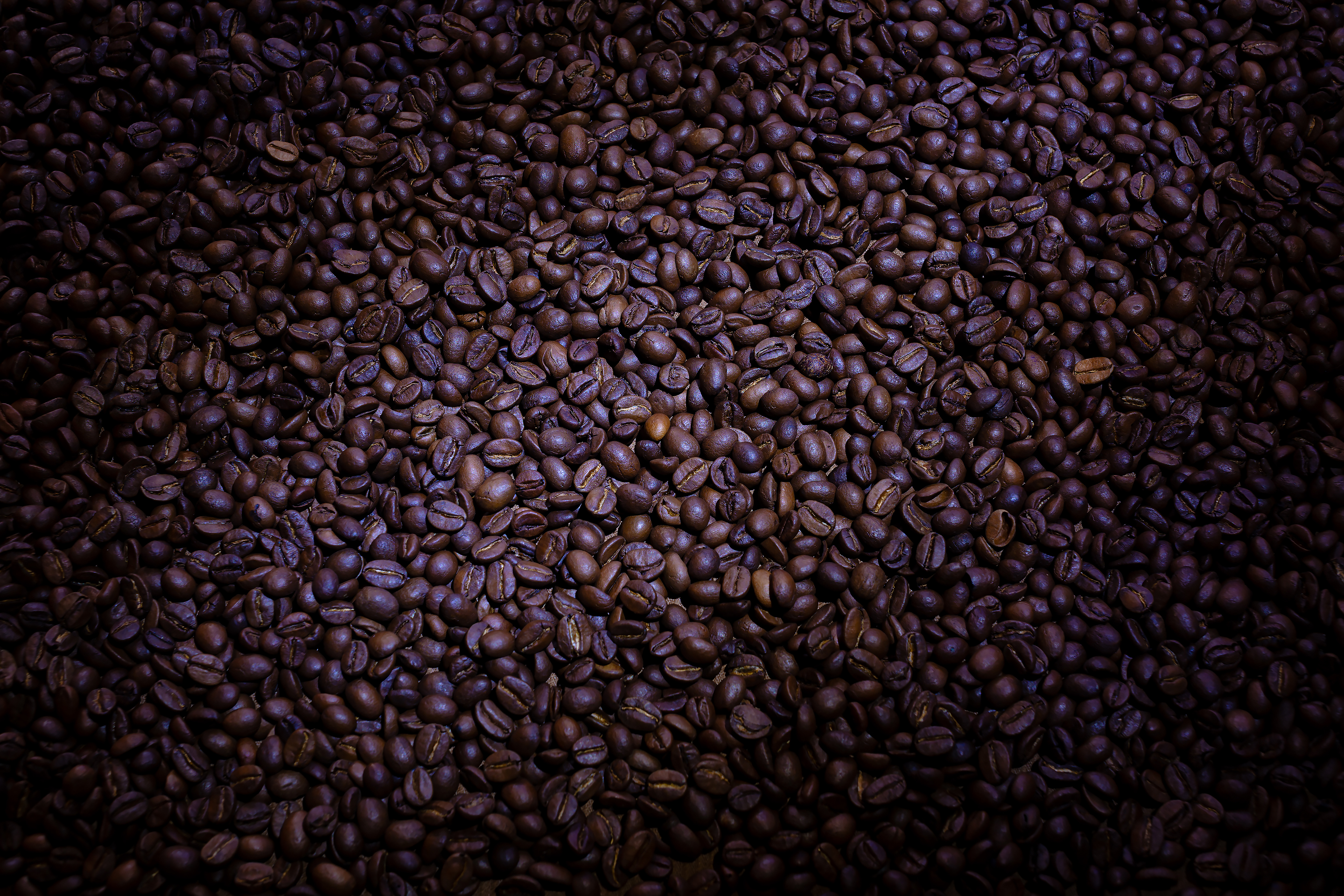 Бесплатное фото Обжаренные кофейные зёрна крупным планом