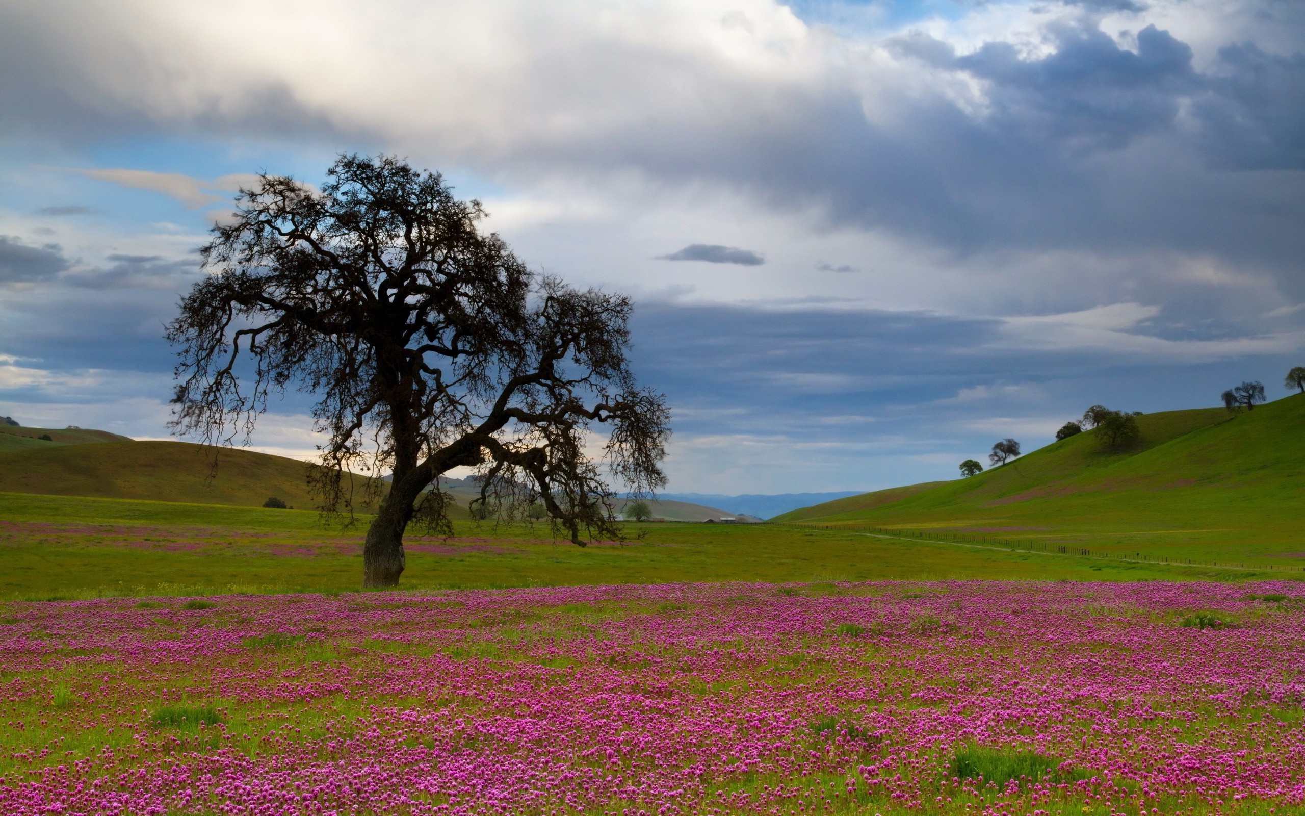 Wallpapers nature Wallpaper on the desktop