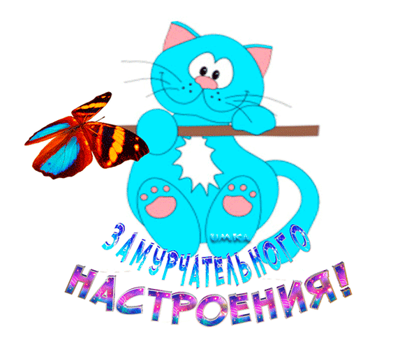 主题为心情 猫 蝴蝶的明信片免费下载