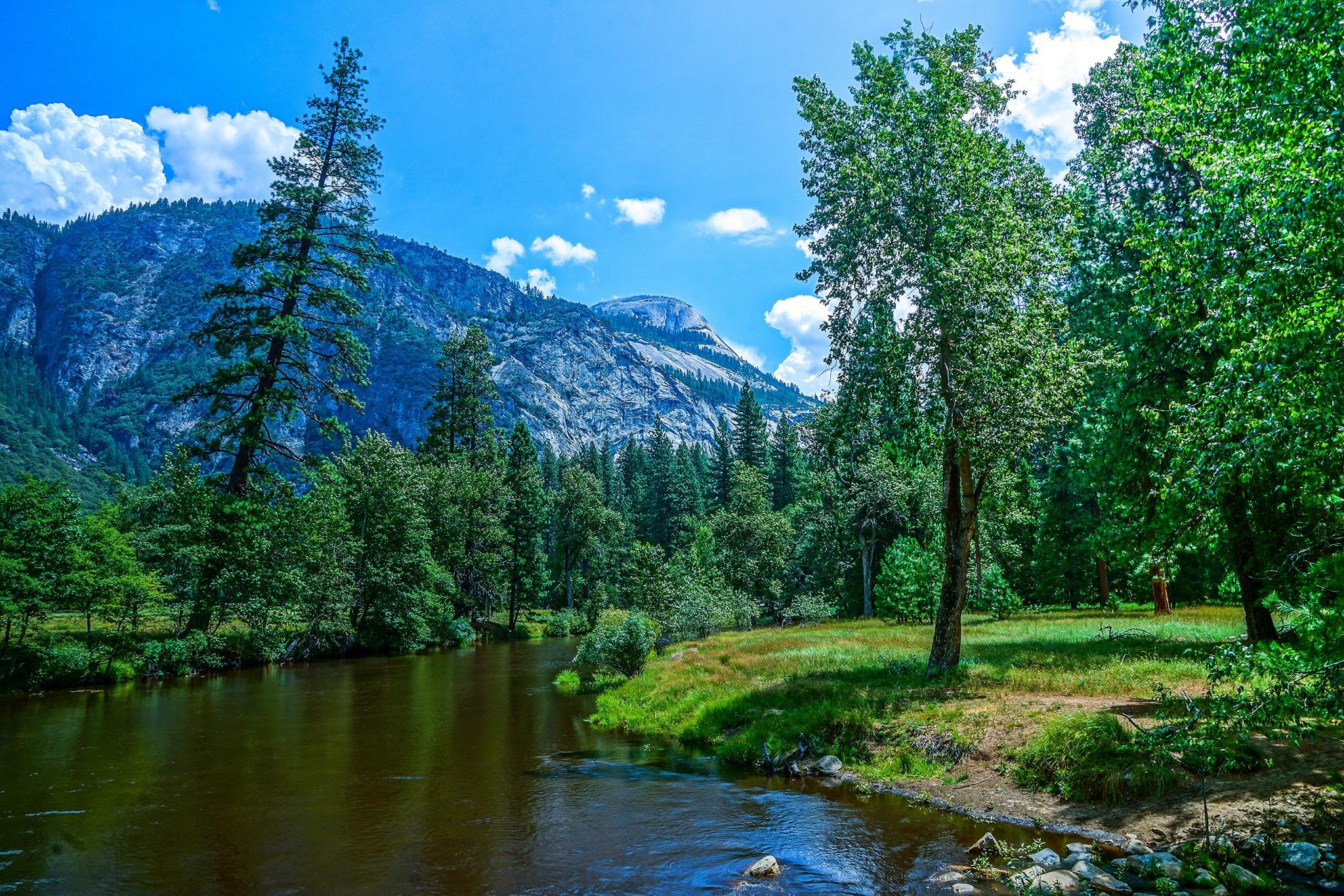 Wallpapers Yosemite National Park trees forest on the desktop