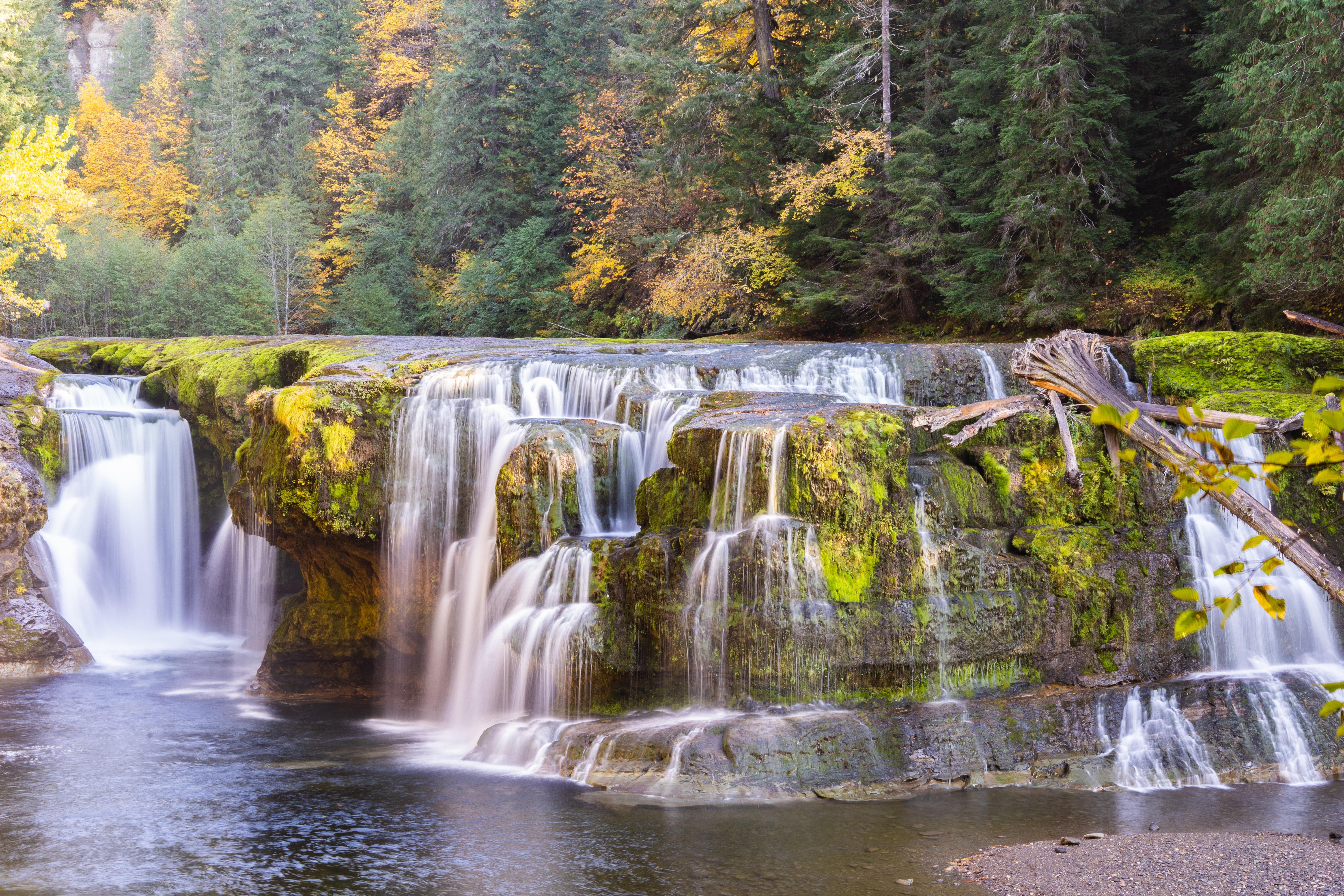 Free photo Forest waterfall