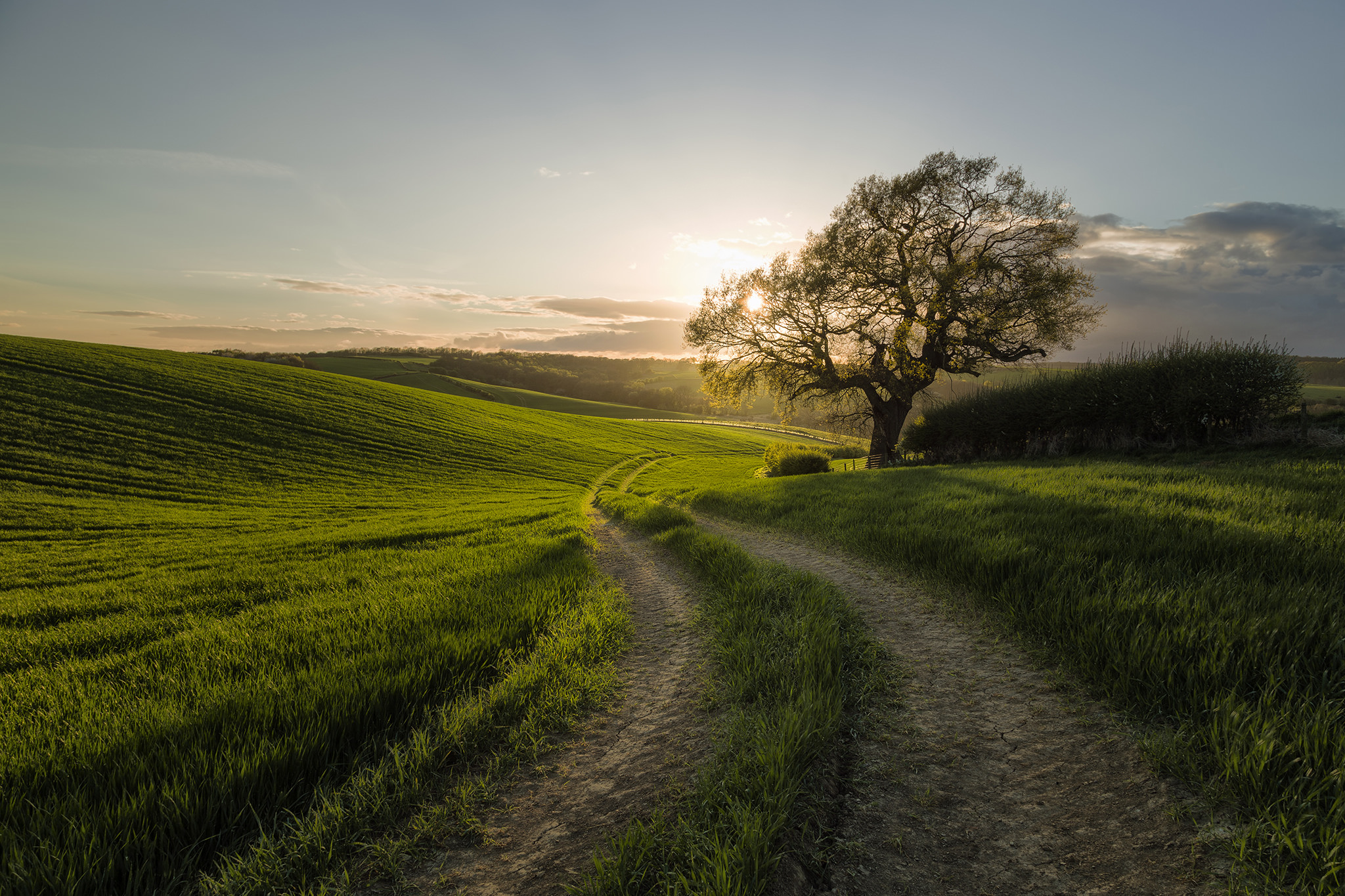 Wallpapers shadow landscapes sunset on the desktop