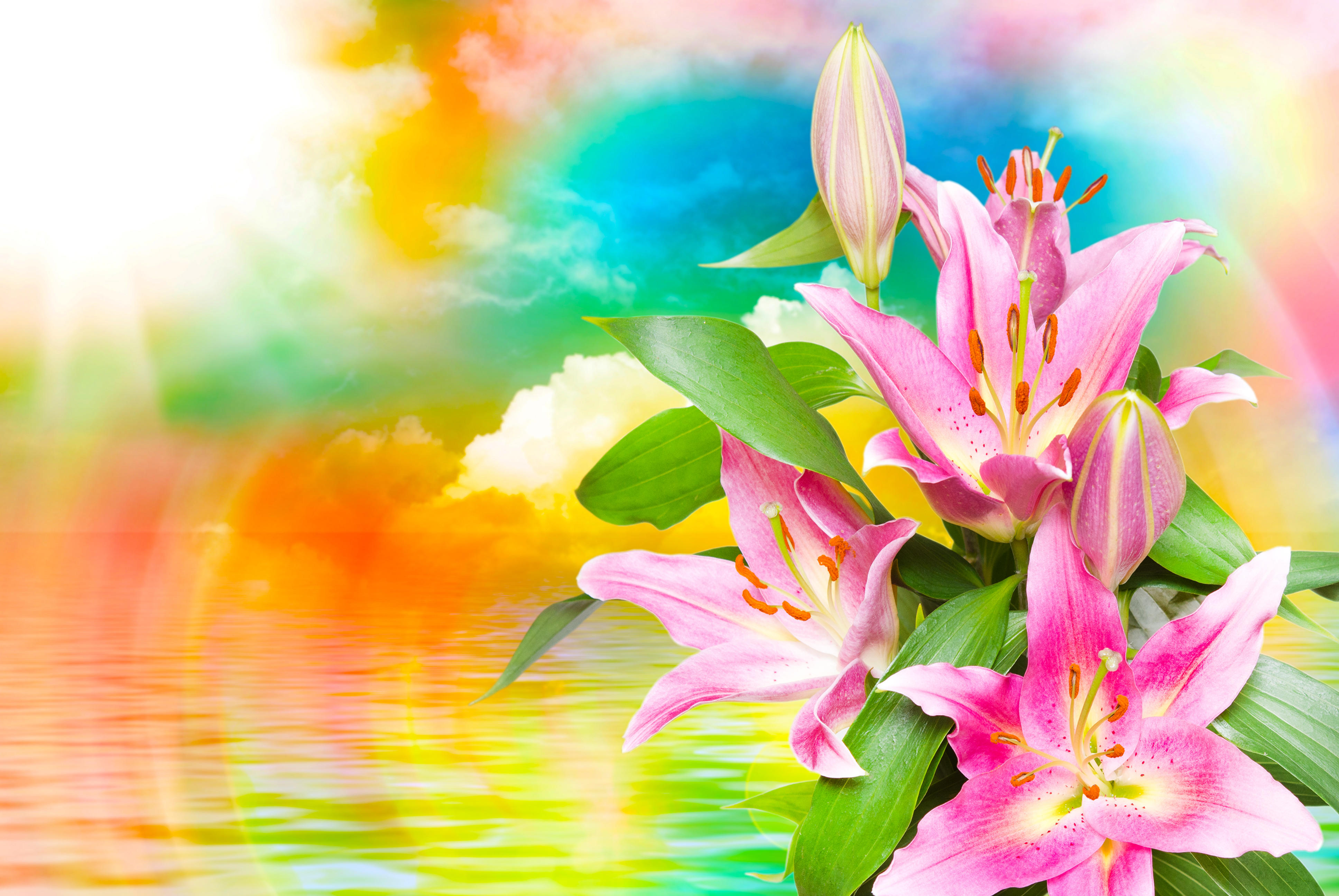 Wallpapers beautiful flowers flora beautiful background on the desktop