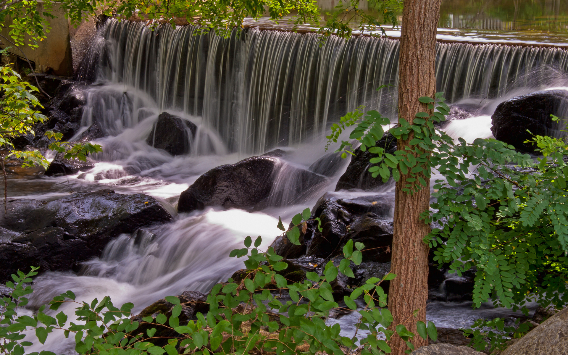 Wallpapers foliage trees waterfall on the desktop