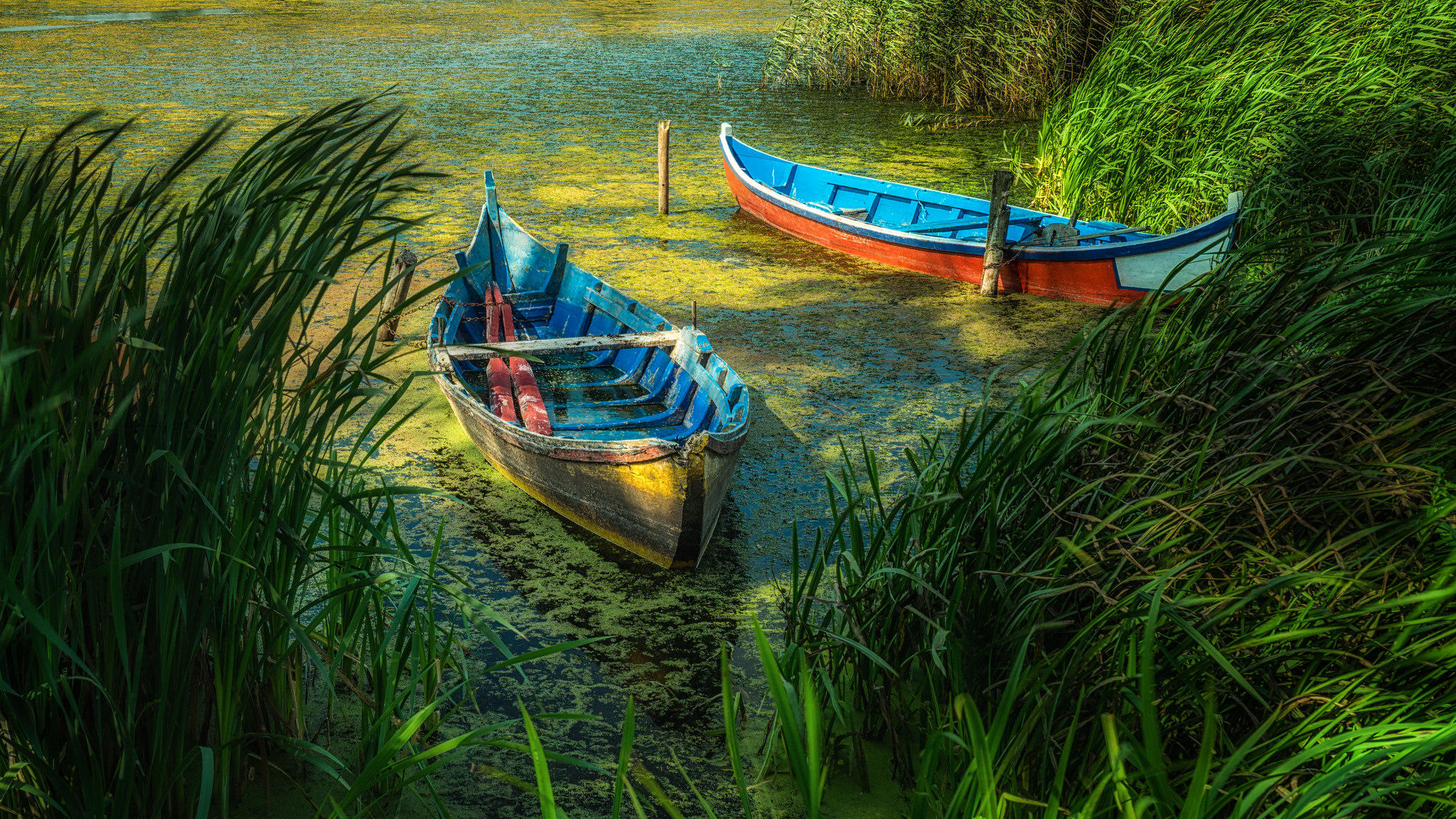 Wallpapers lake boats nature on the desktop