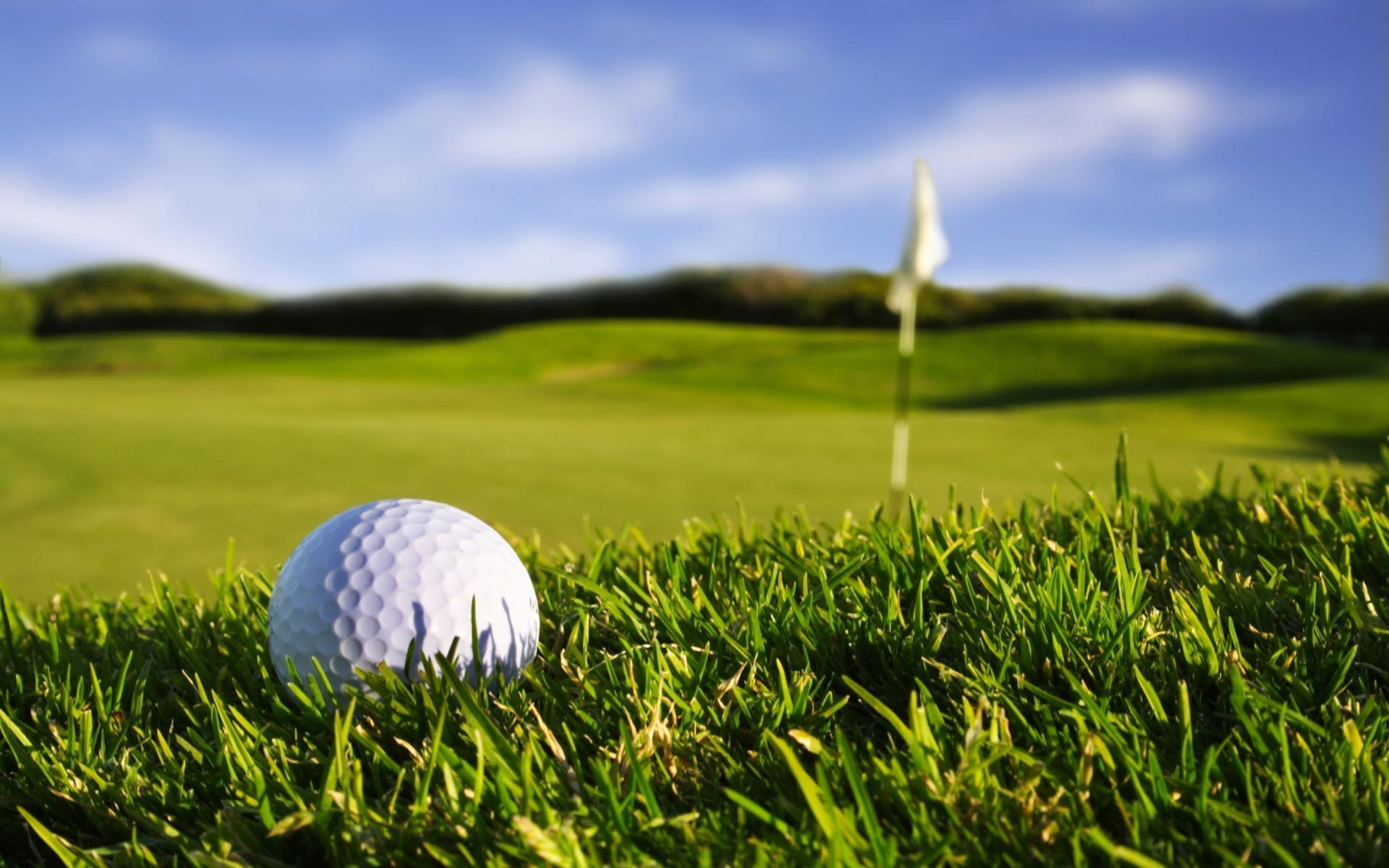 Free photo A golf ball on the green grass.