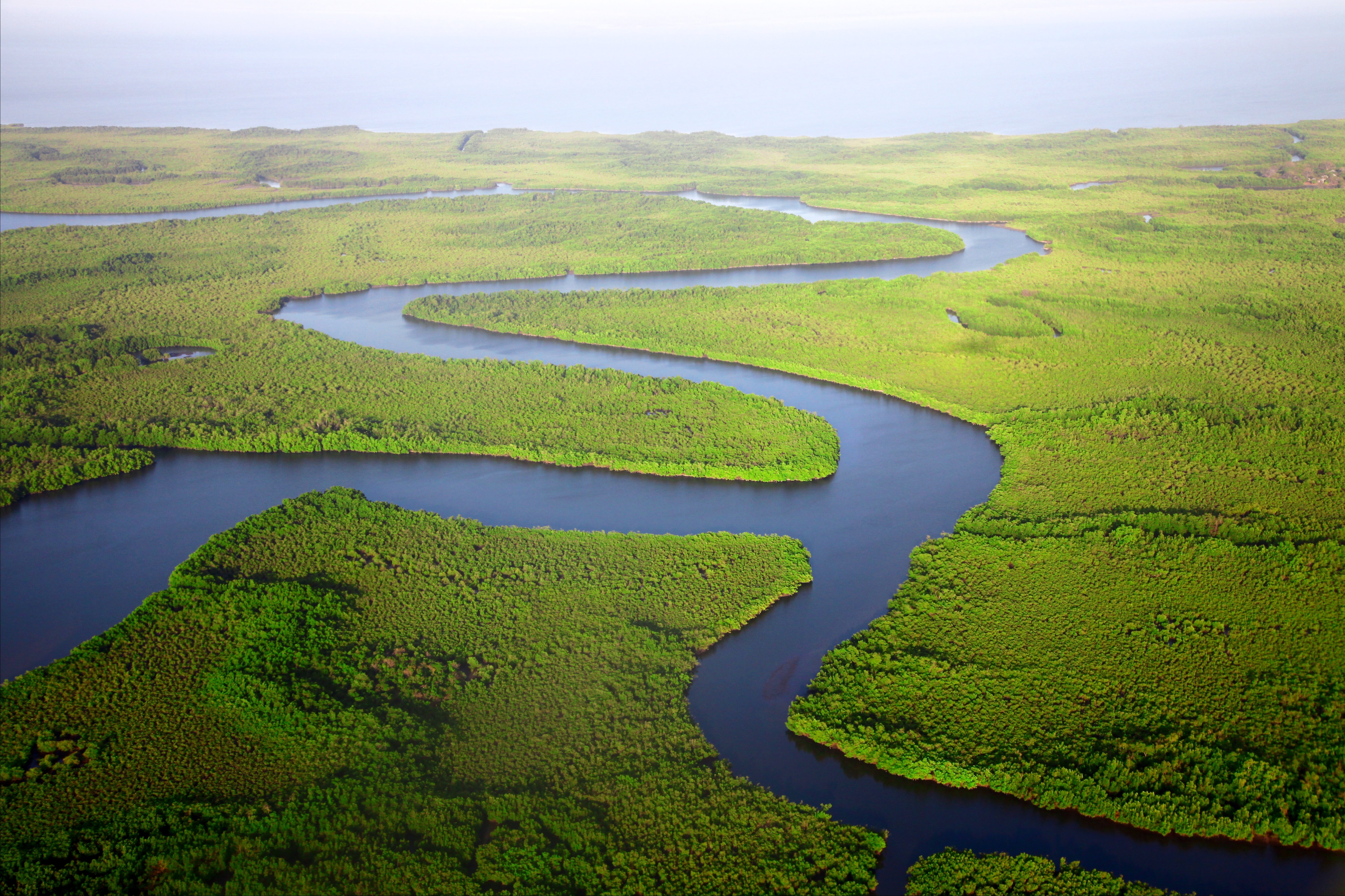 Free photo Winding river by green banks view from above