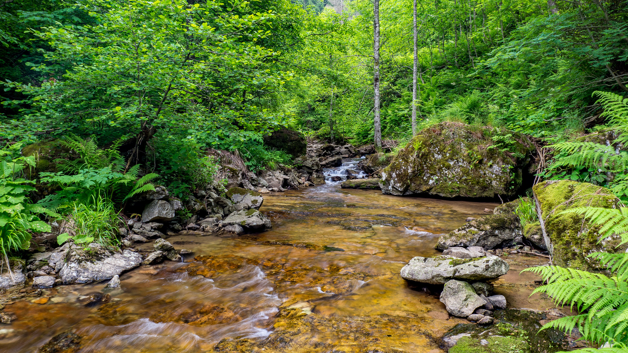 Wallpapers landscape river stones in the water on the desktop