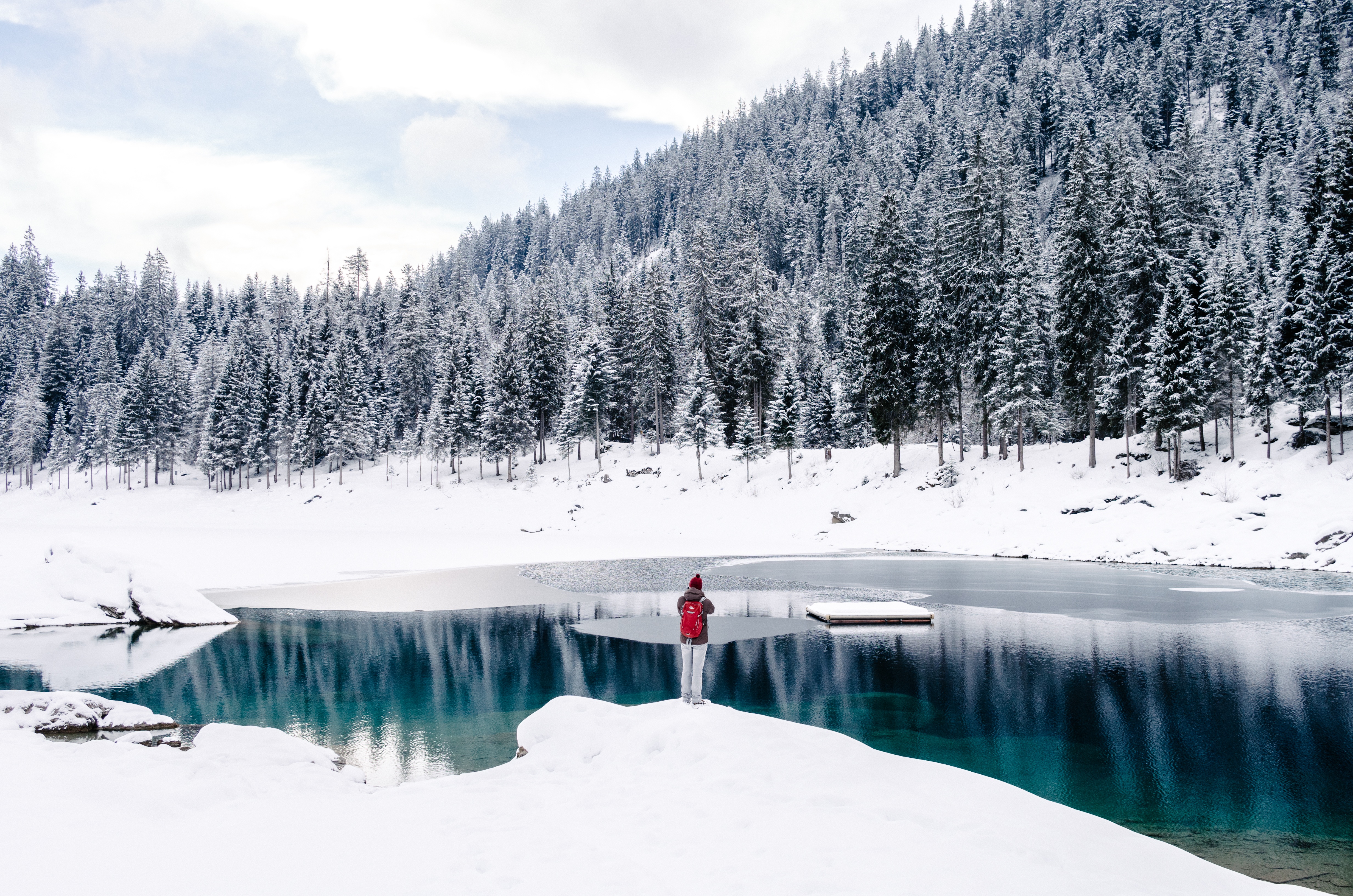 Free photo A freezing forest lake