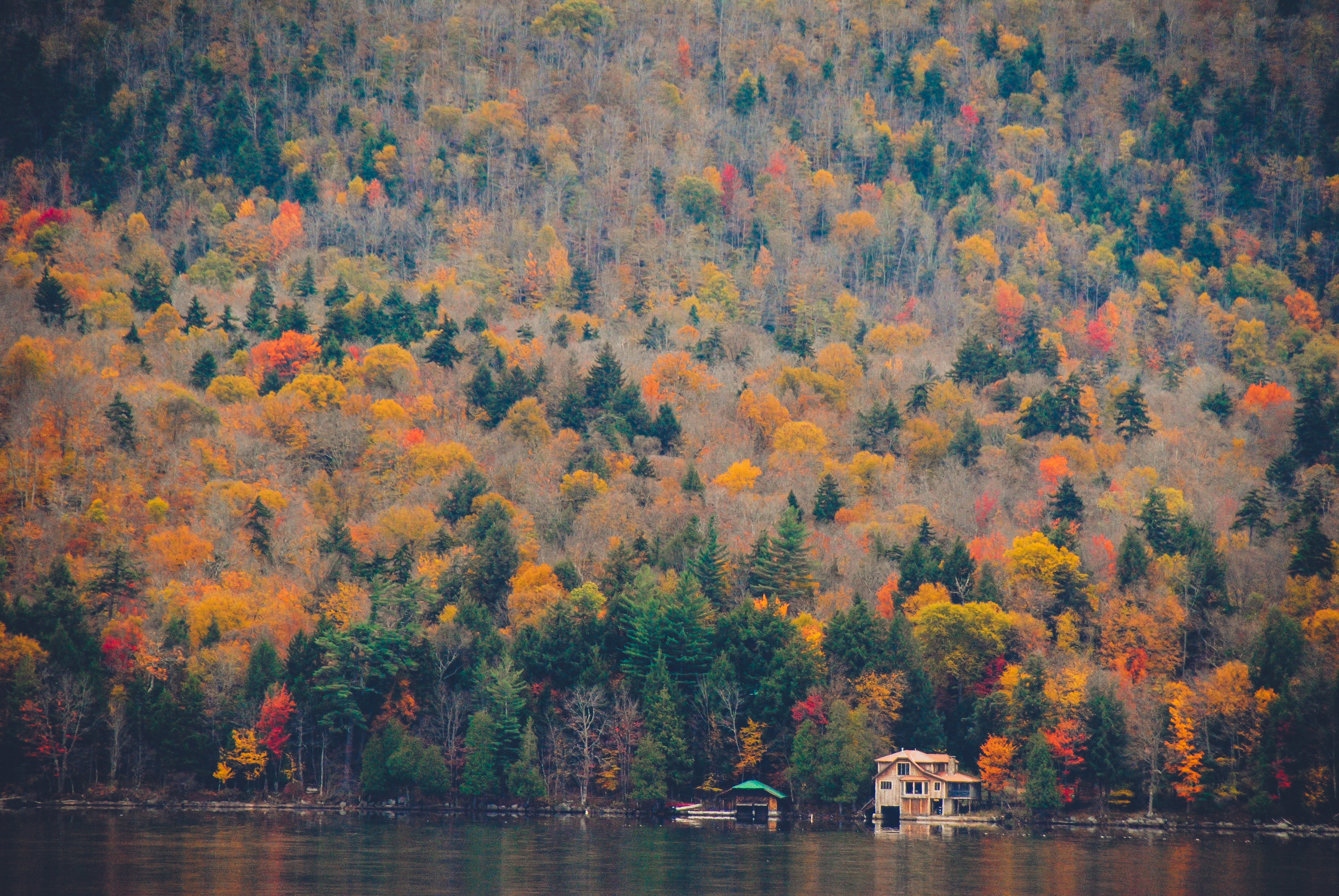 Wallpapers landscape tree nature on the desktop