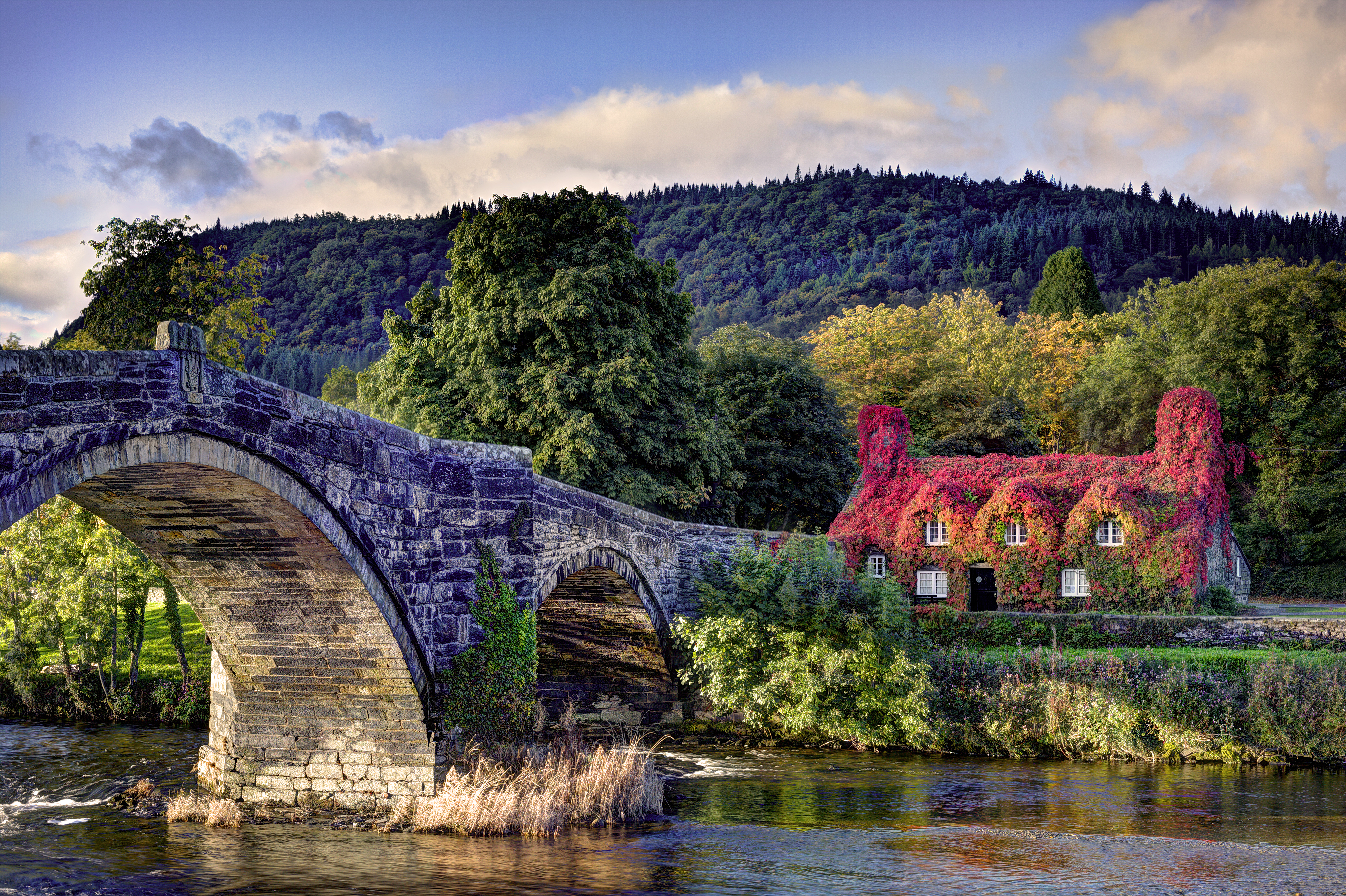 Wallpapers Tea house trees River Conwy on the desktop