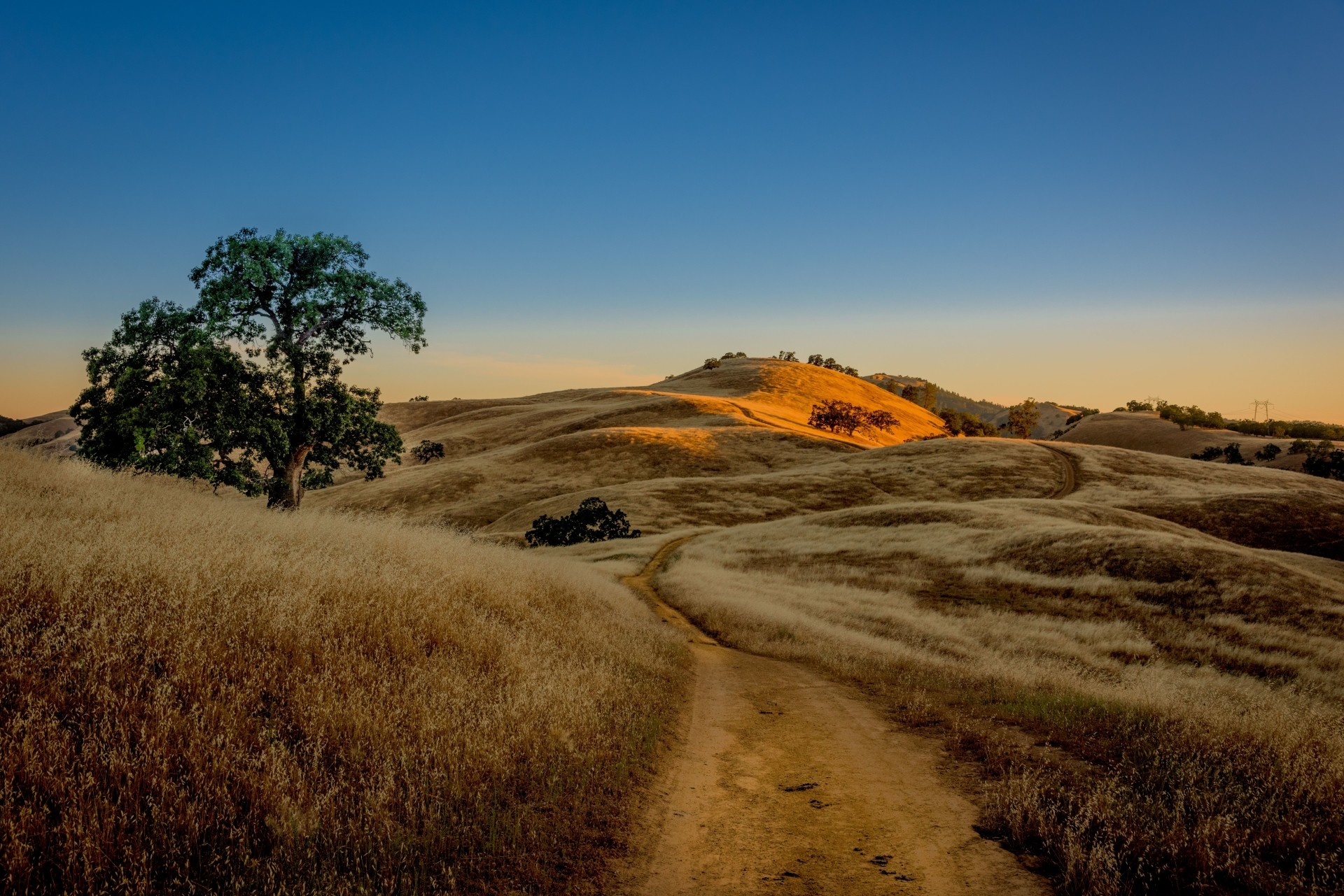 Бесплатное фото Засушливый холмистый пейзаж с сухой травой, извилистой грунтовой дорогой и одиноким деревом на фоне заката.