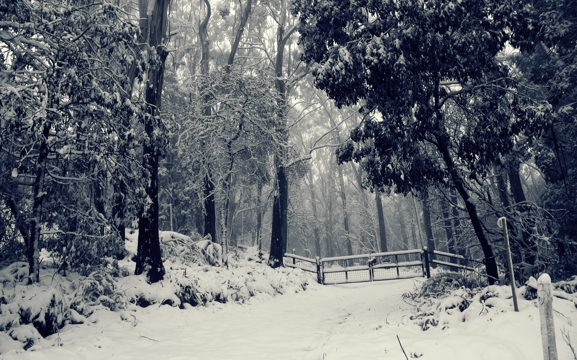 桌面上的壁纸闸门 冬季 雪