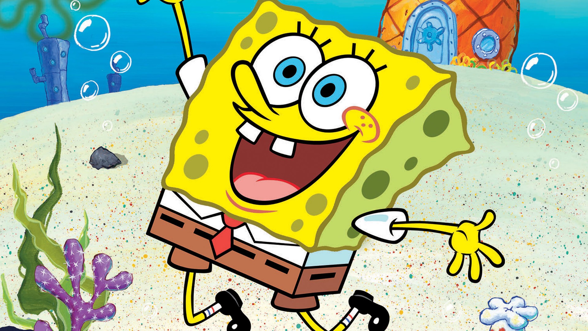 Wallpapers cartoons spongebob squarepants cartoon on the desktop