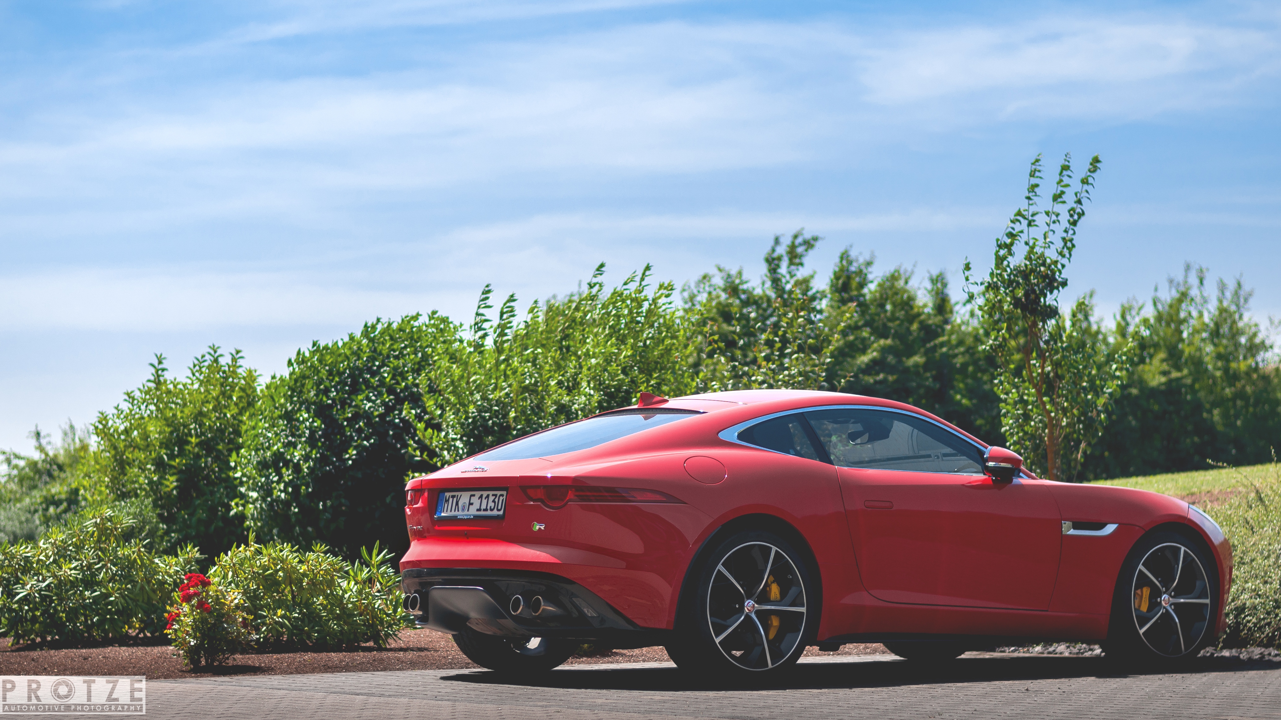 A red jaguar stands near the trees