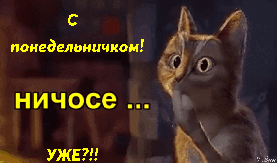 主题为星期一 卡通 猫的明信片免费下载