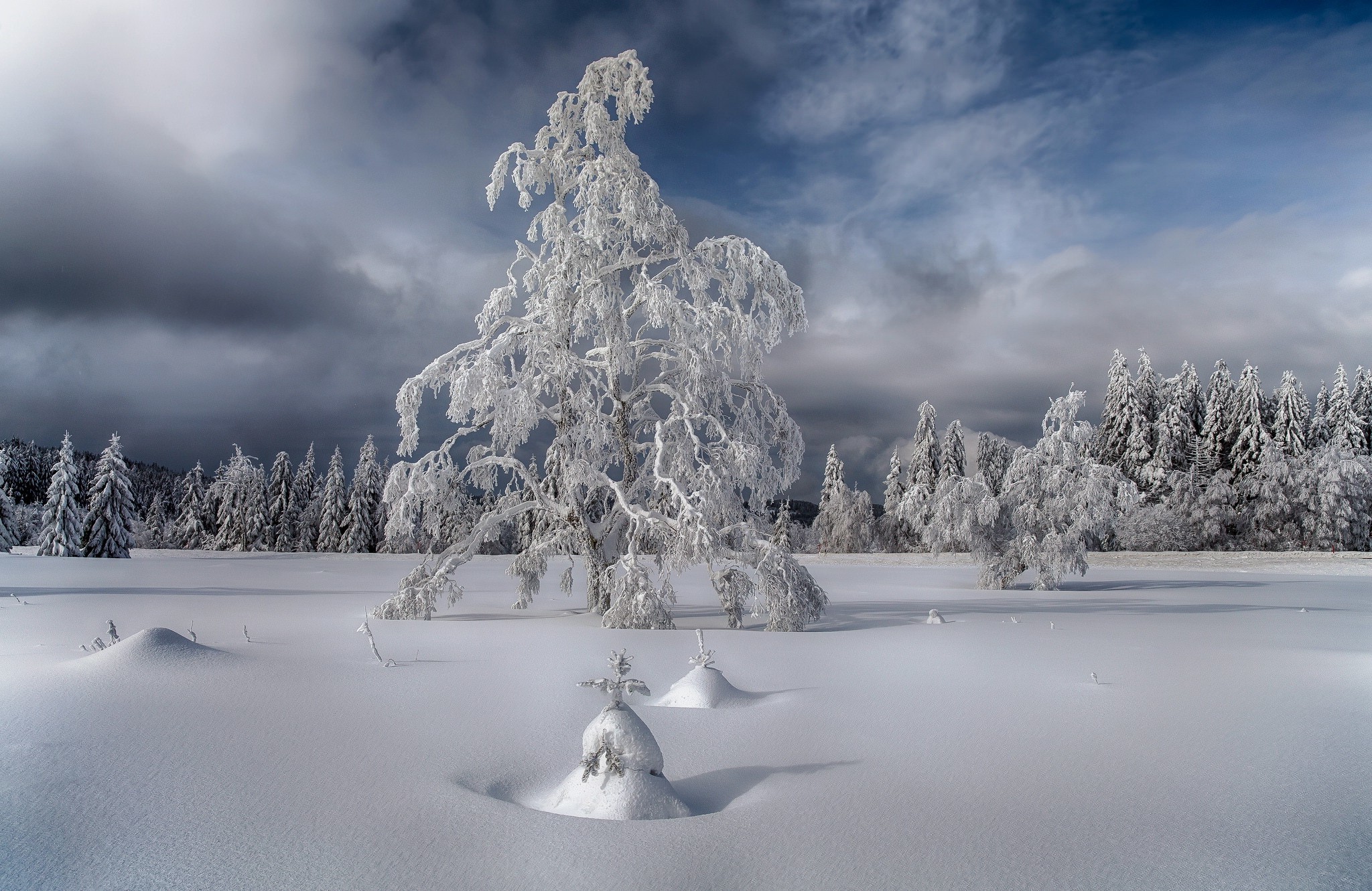 Free photo Big snow field