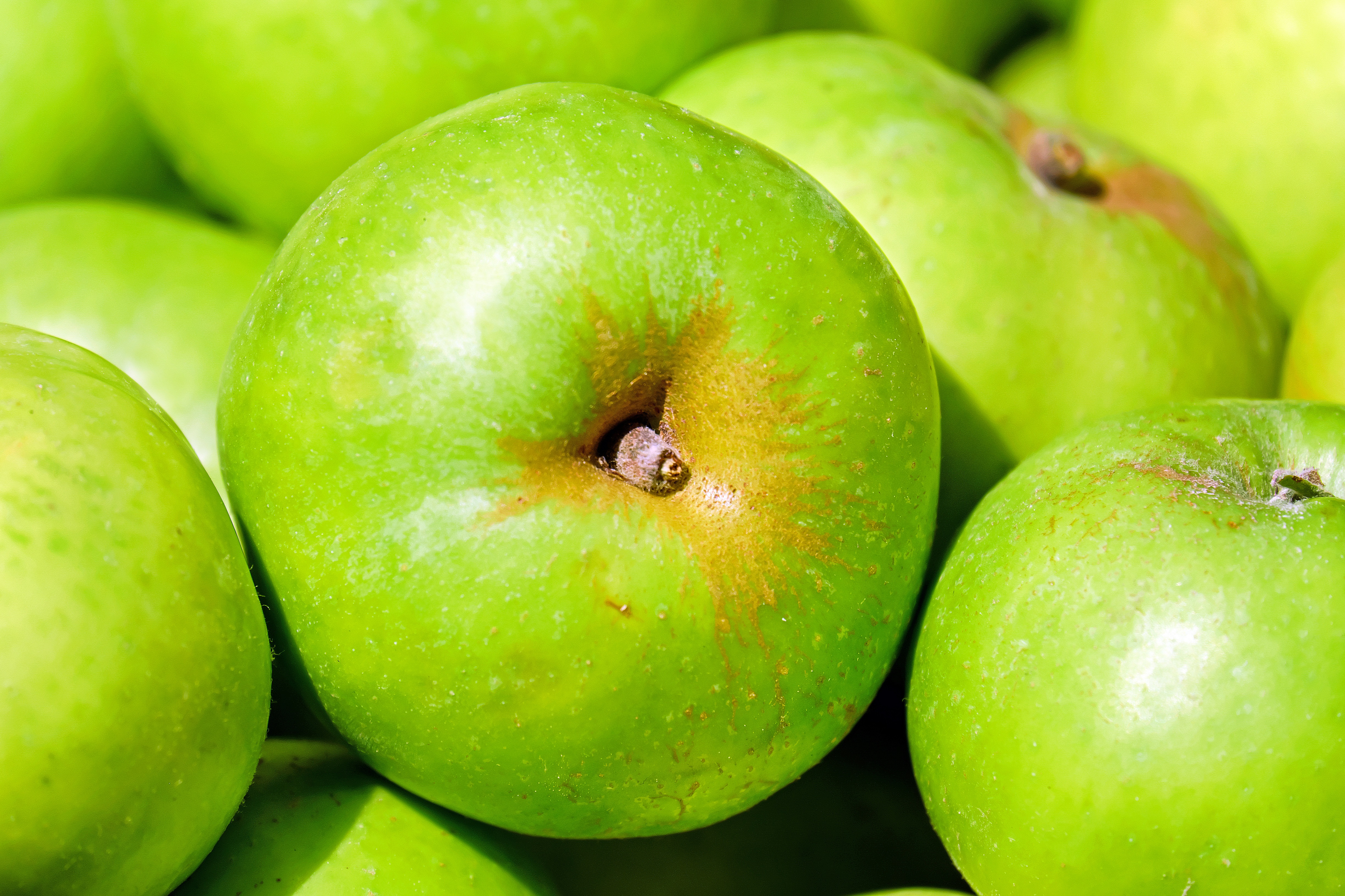 Бесплатное фото Зеленые яблоки