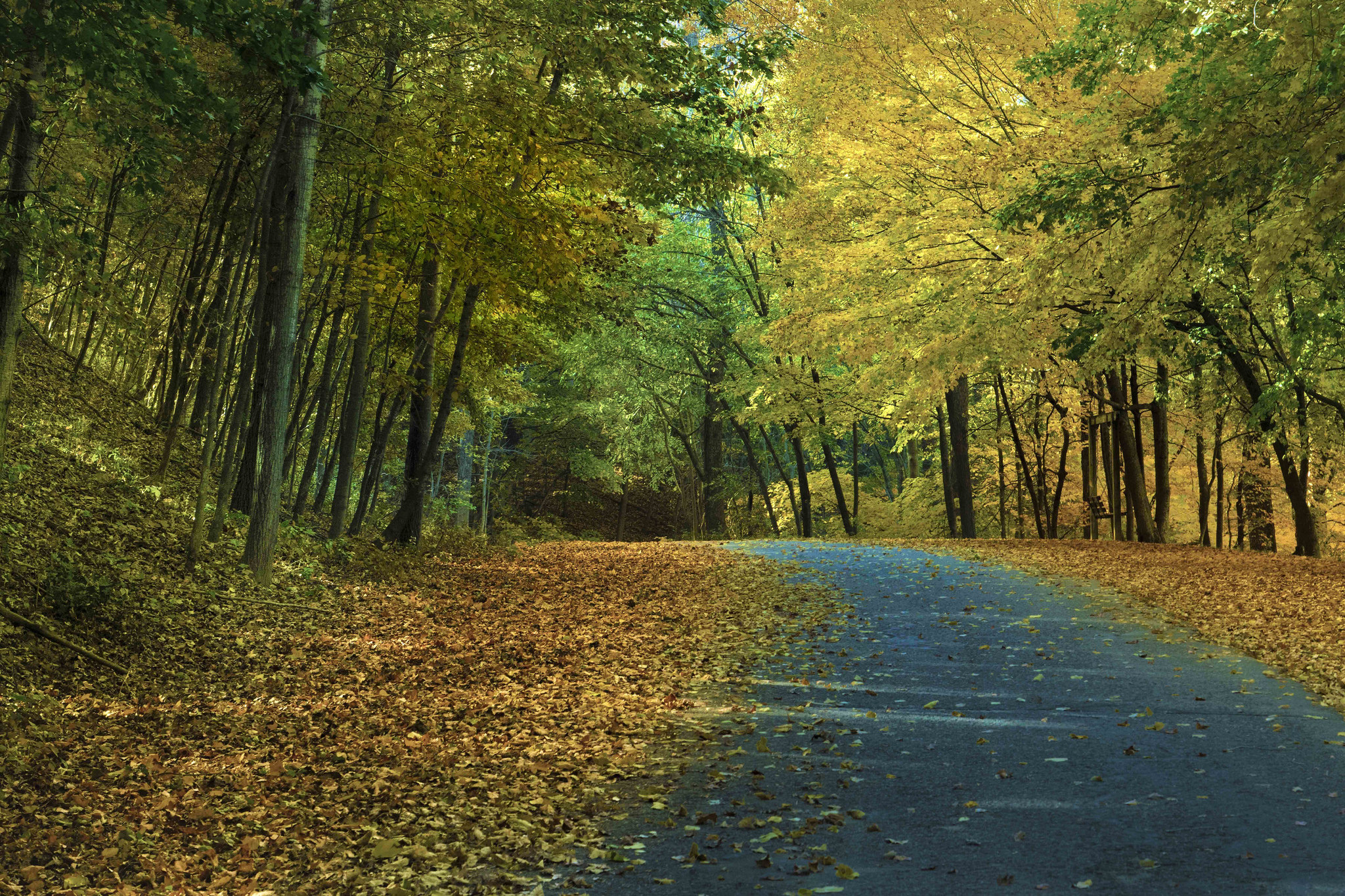 Wallpapers road Park autumn colors on the desktop