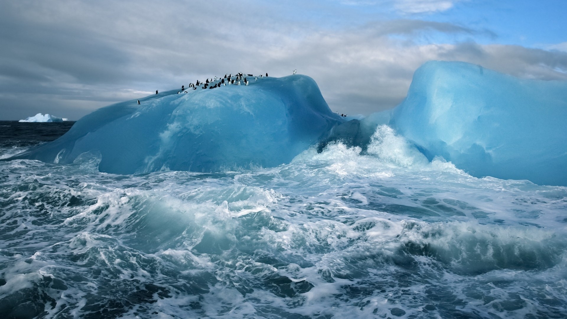 Wallpapers penguins iceberg waves on the desktop