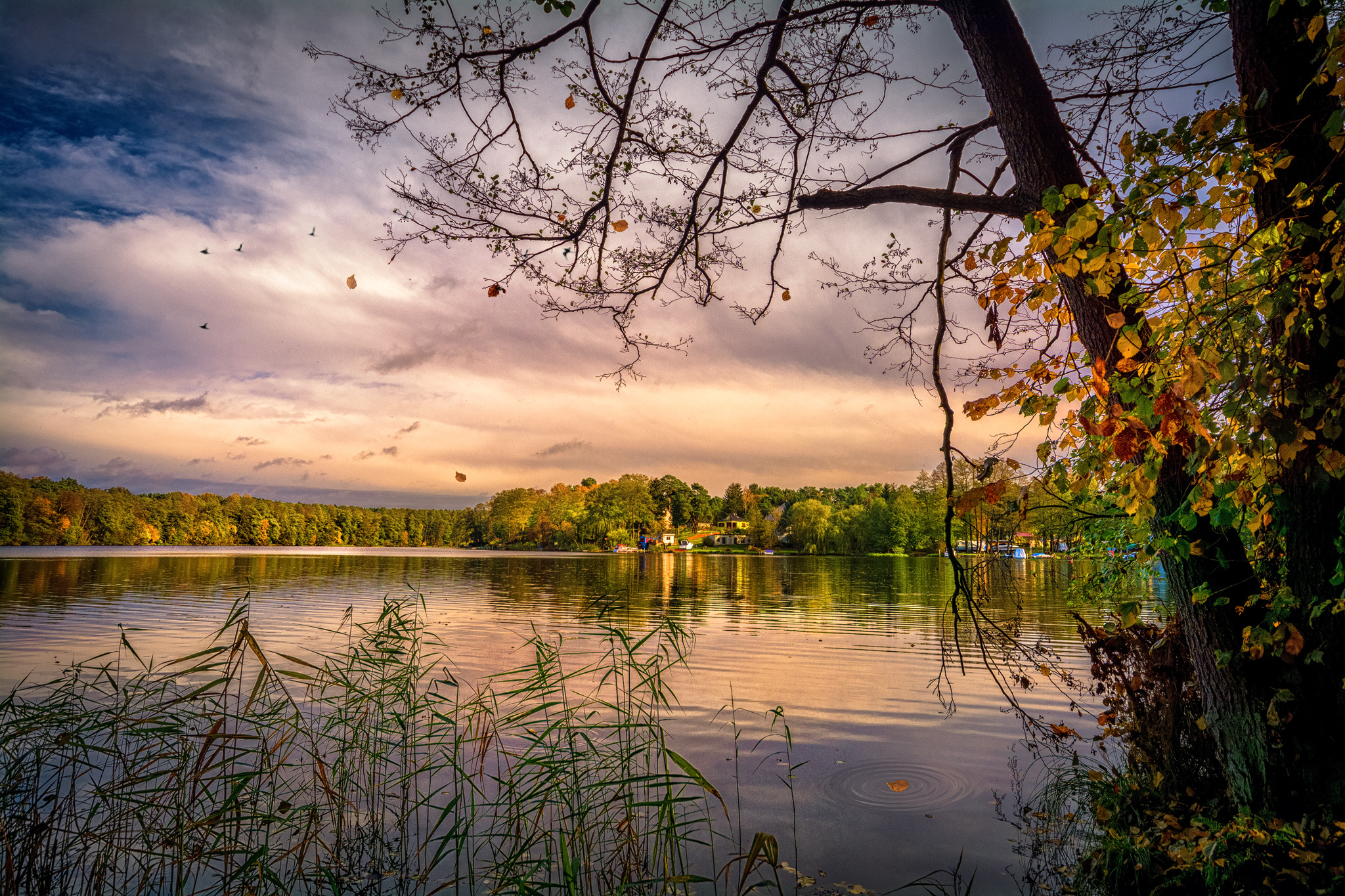 Wallpapers M lensee trees autumn on the desktop