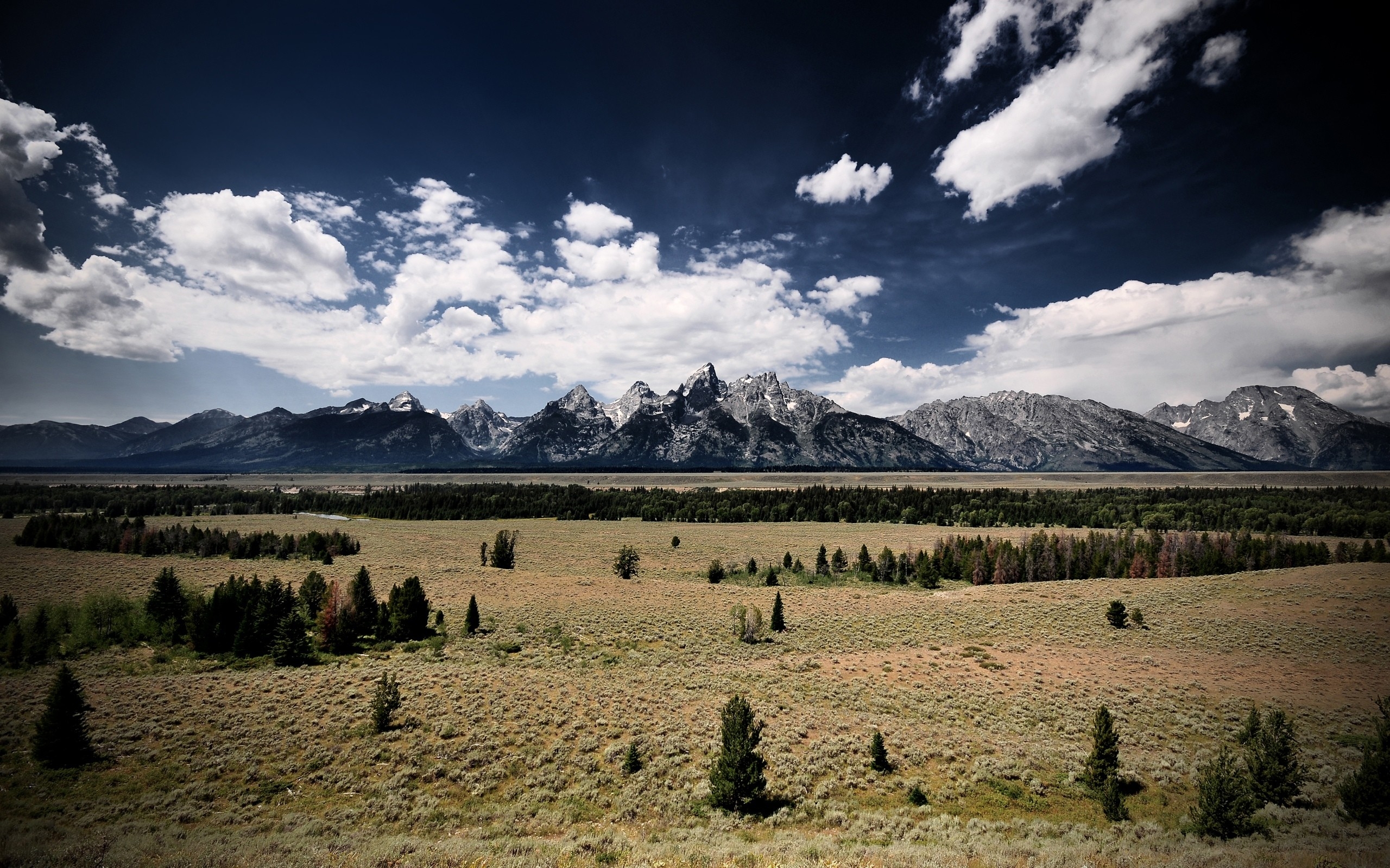 Free photo A large field with trees against a background of mountains and blue sky