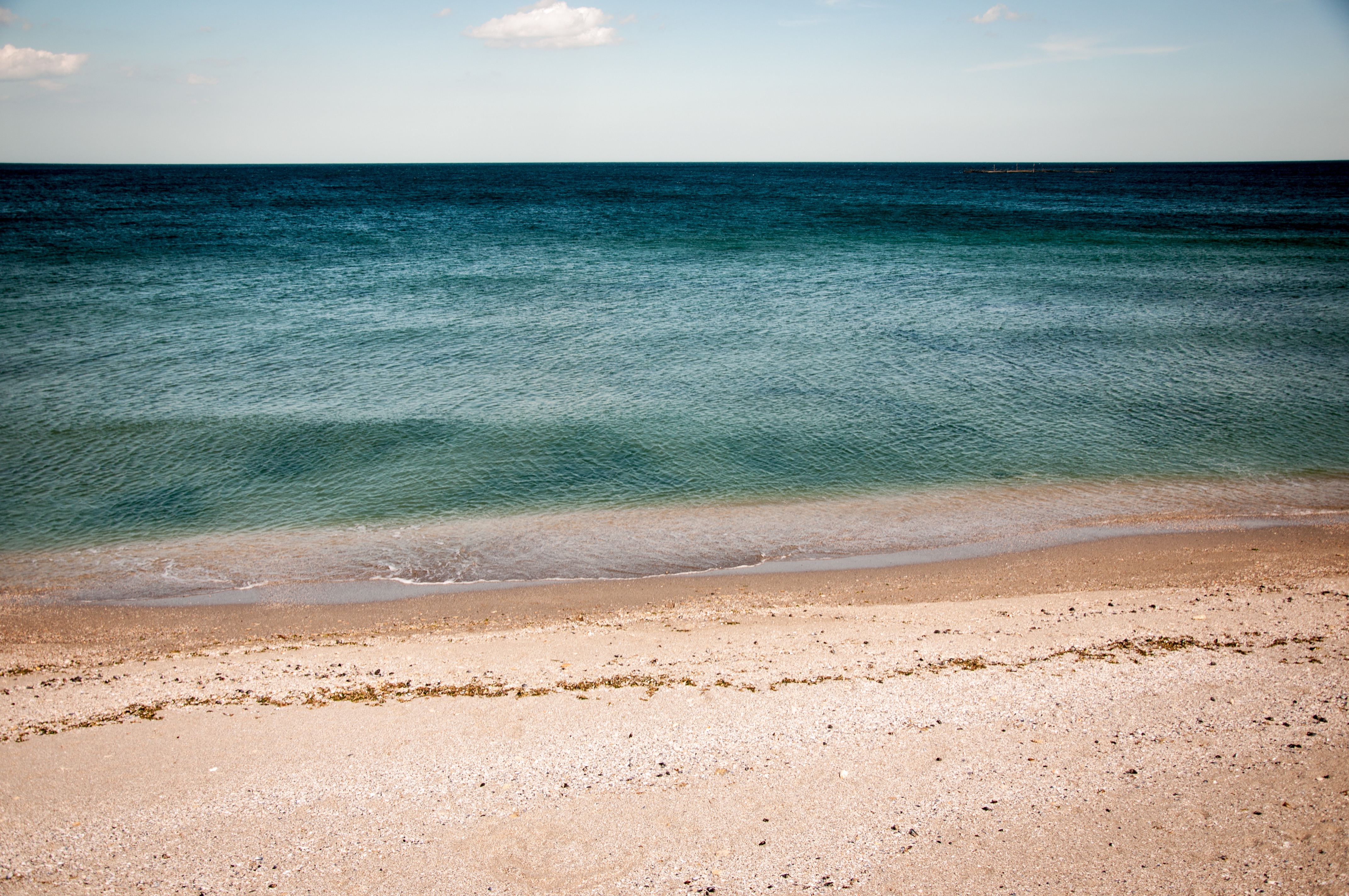 Free photo Beach recreation on the sandy shore