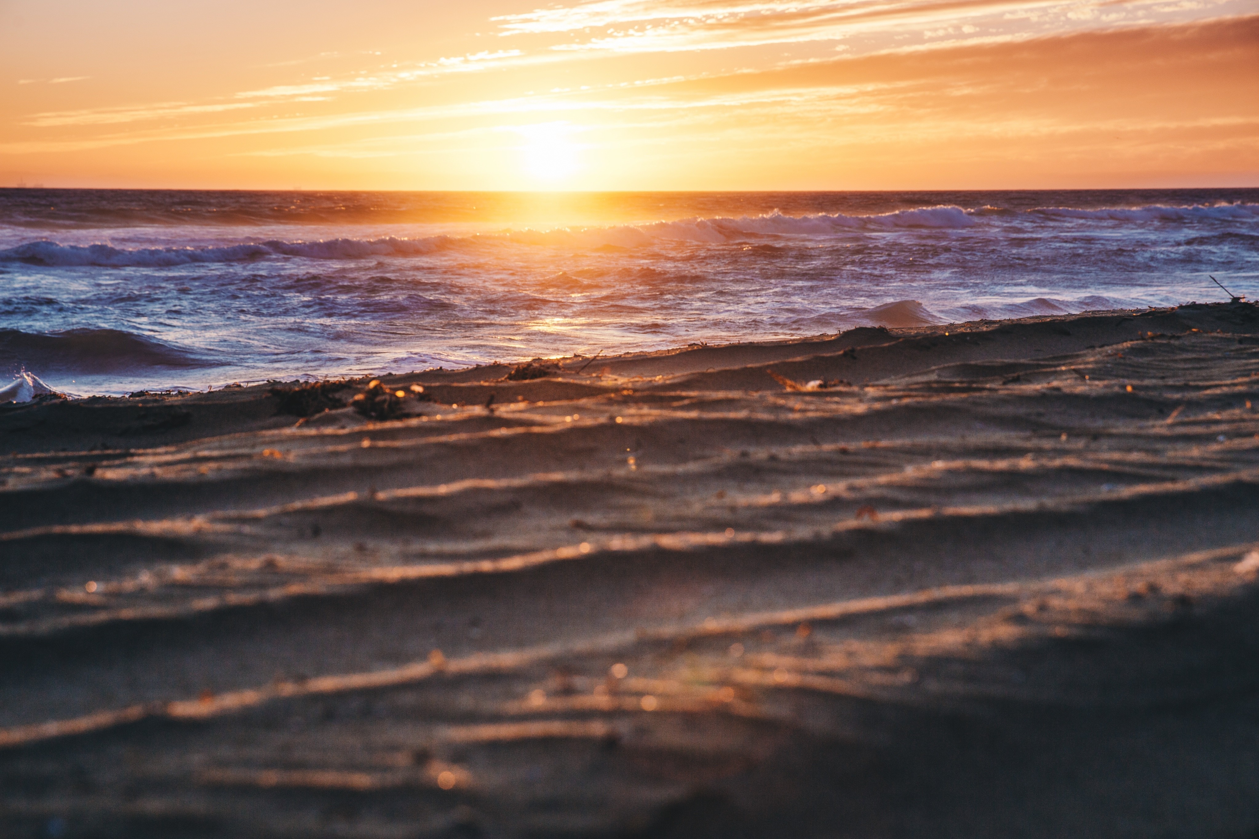 免费照片海滩日落