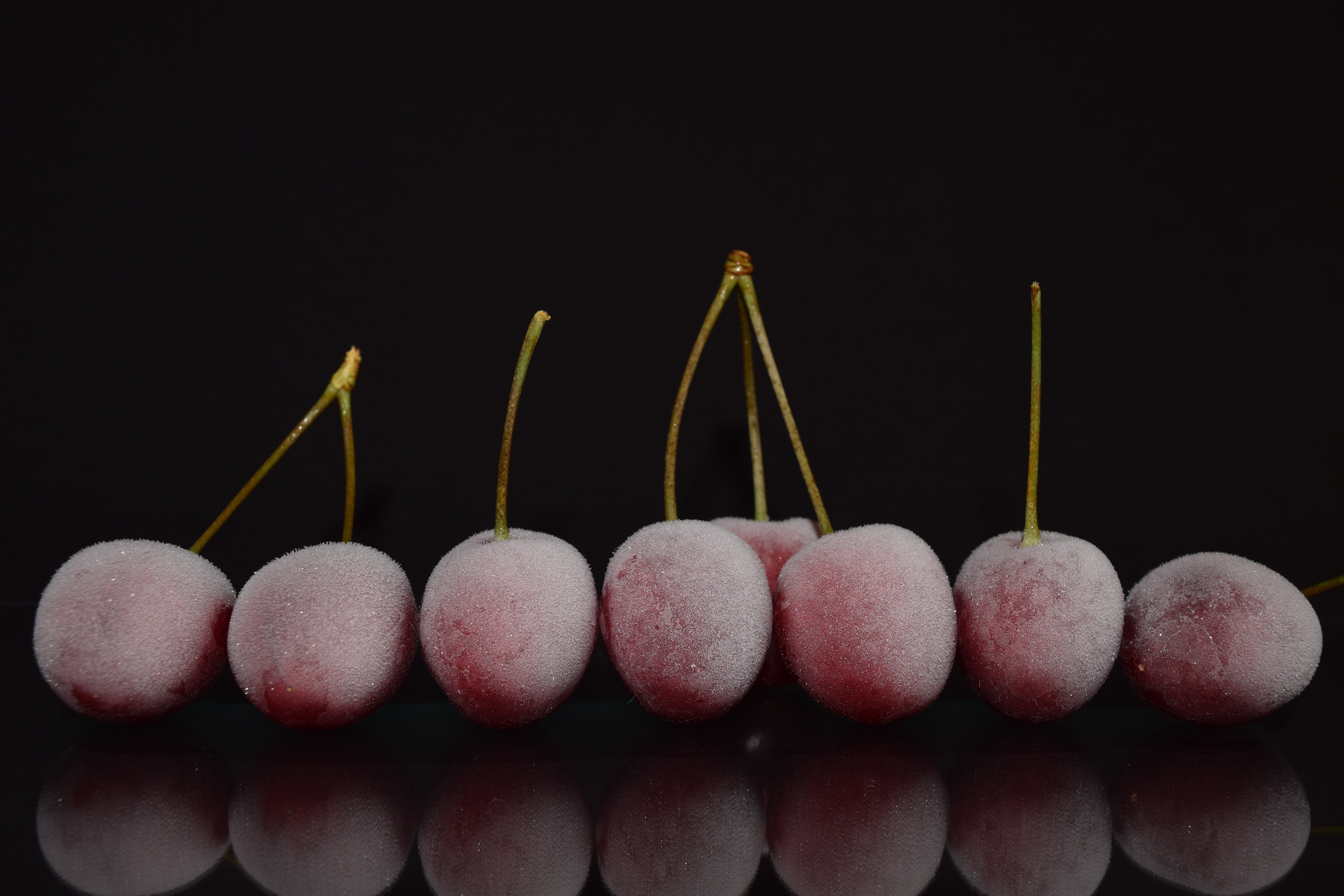 Wallpapers frozen cherries branches reflection on the desktop