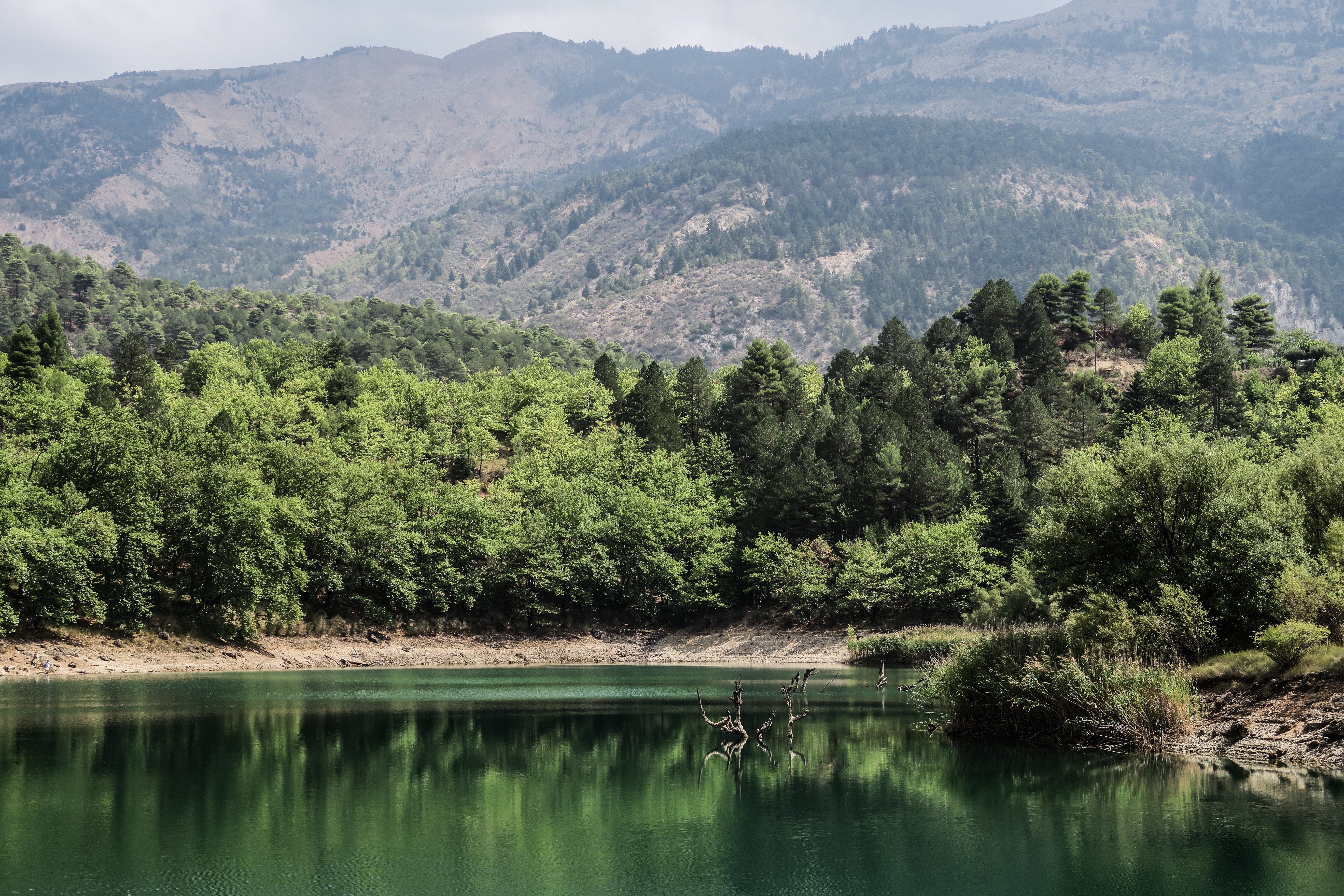 Зеркальная живописная природа