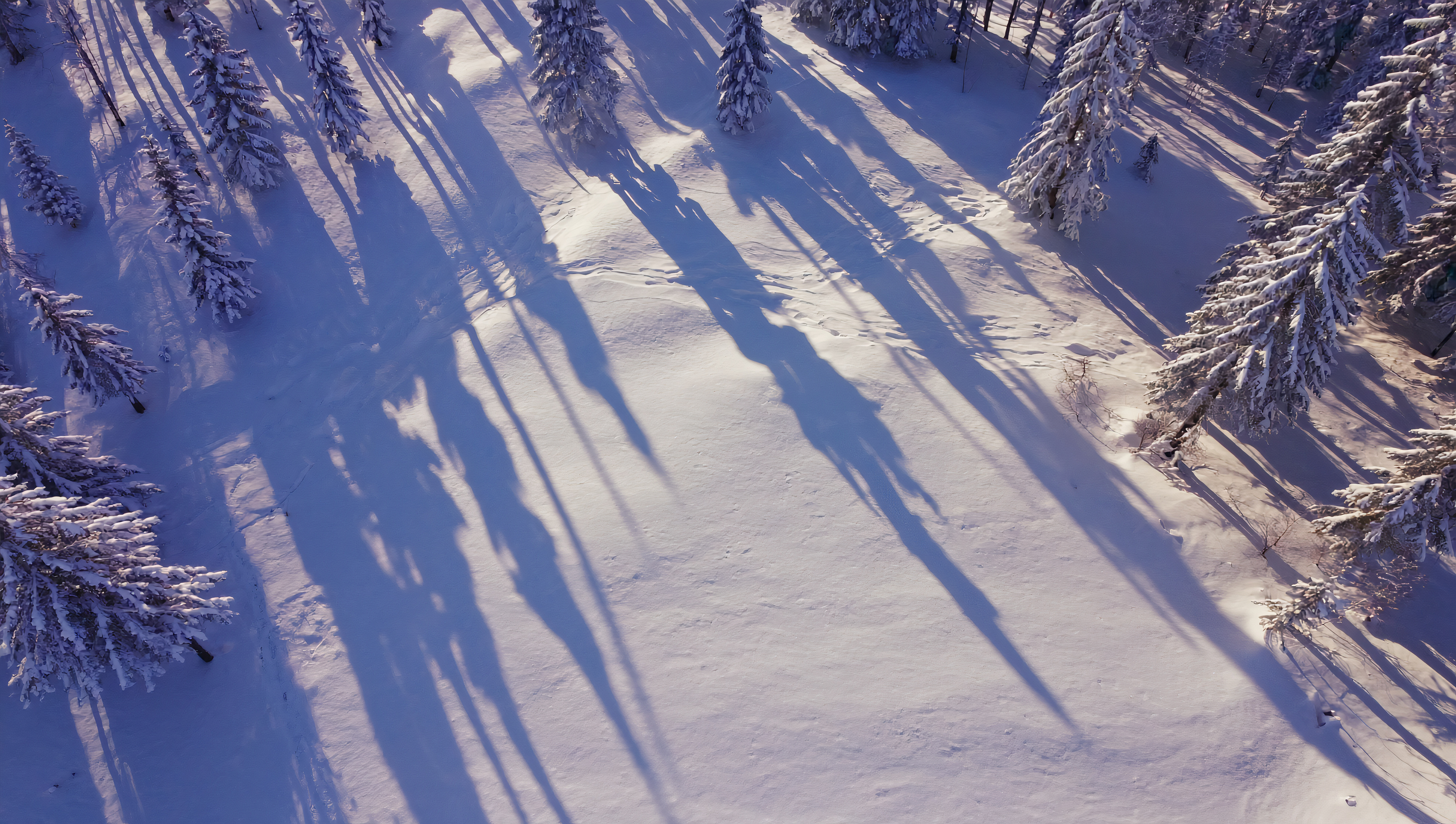 Бесплатное фото Обои на рабочий стол, пейзаж с видом с высоты птичьего полёта на зимний лес