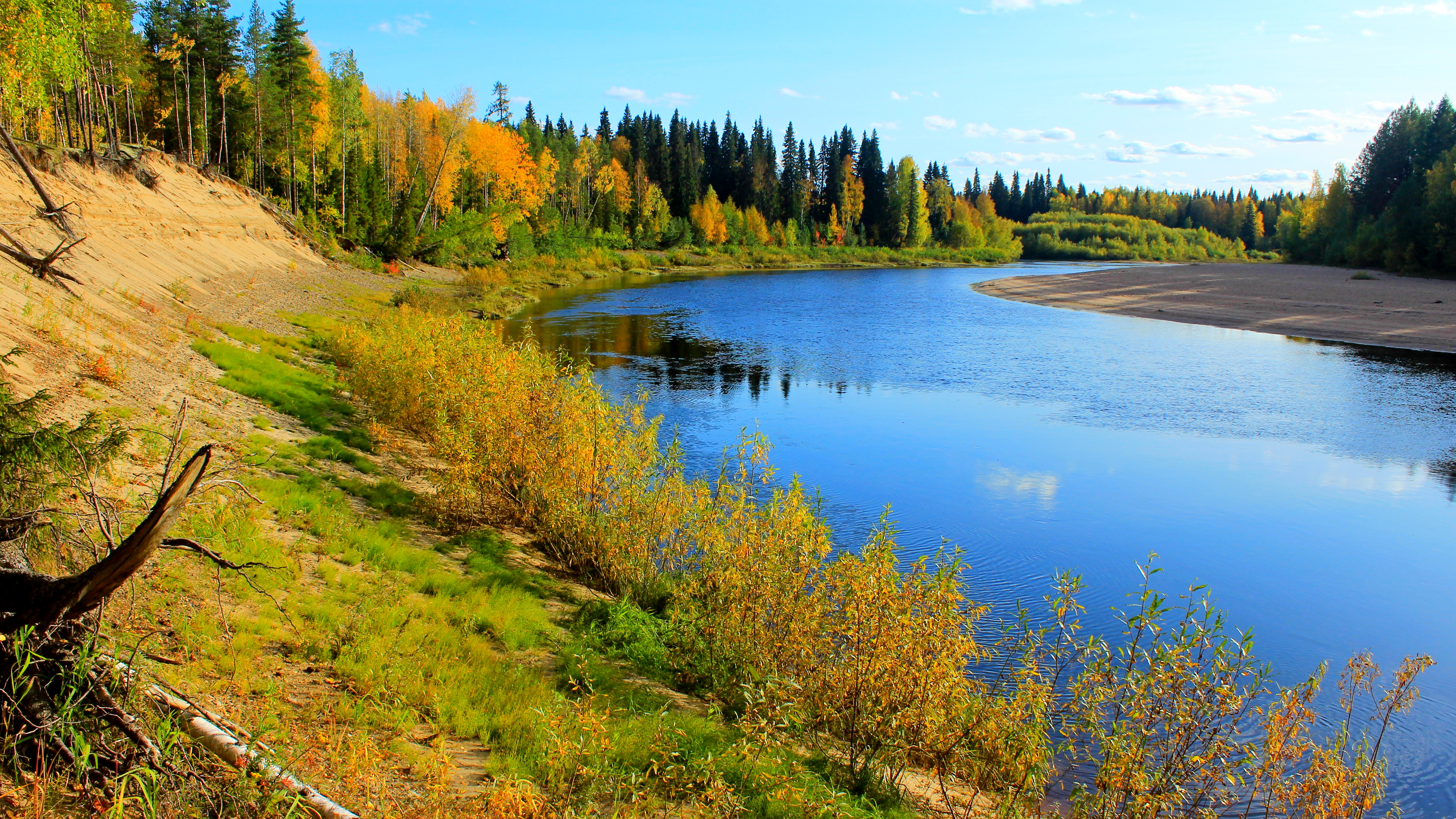 Free photo Golden Autumn on the Taiga River