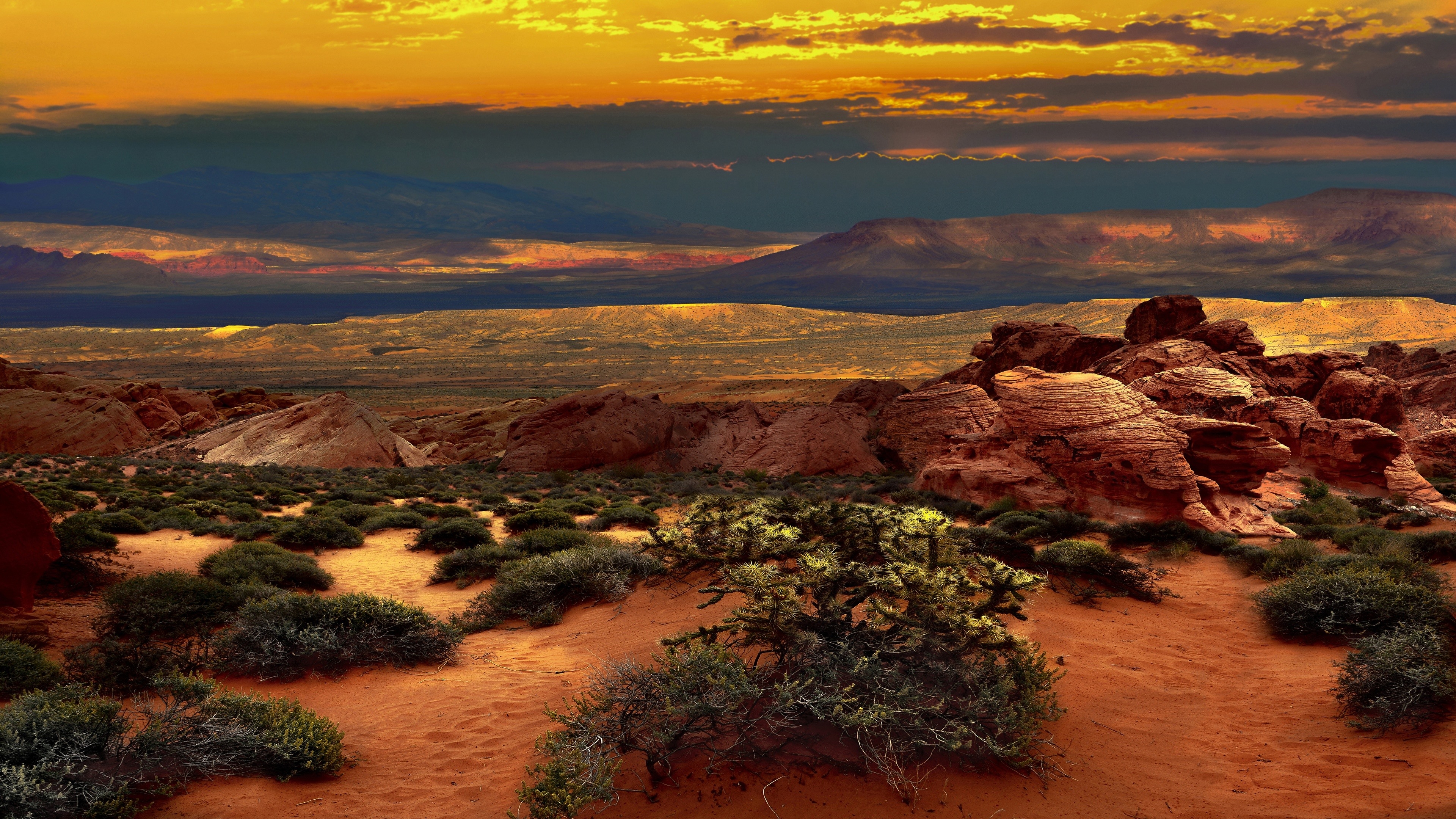 Colorful Nevada Desert in the USA