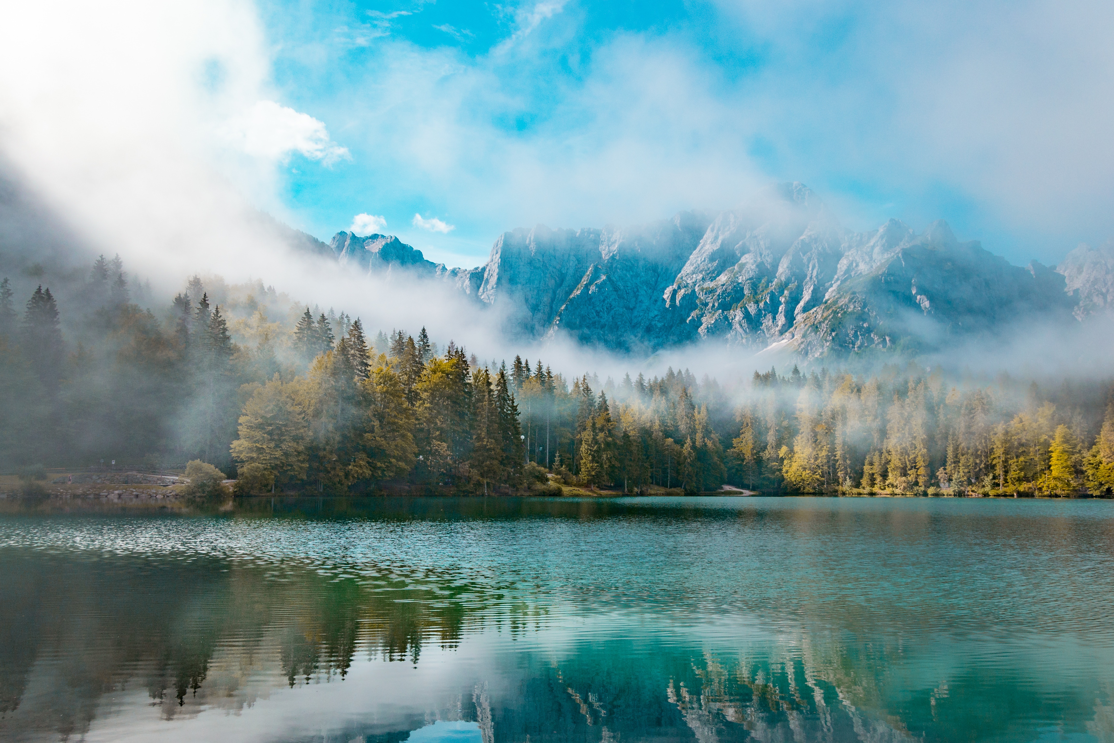 免费照片绿树环绕的湖面上烟雾缭绕。