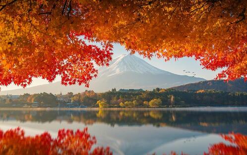 Обои обои осень природа листья на рабочий стол