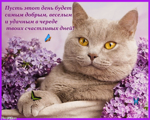 Открытка на тему стих череде счастливых скачать бесплатно