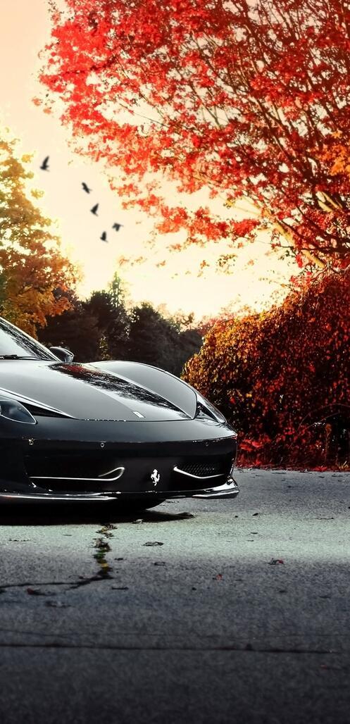 Бесплатное фото Черная ferrari на фоне осеннего леса