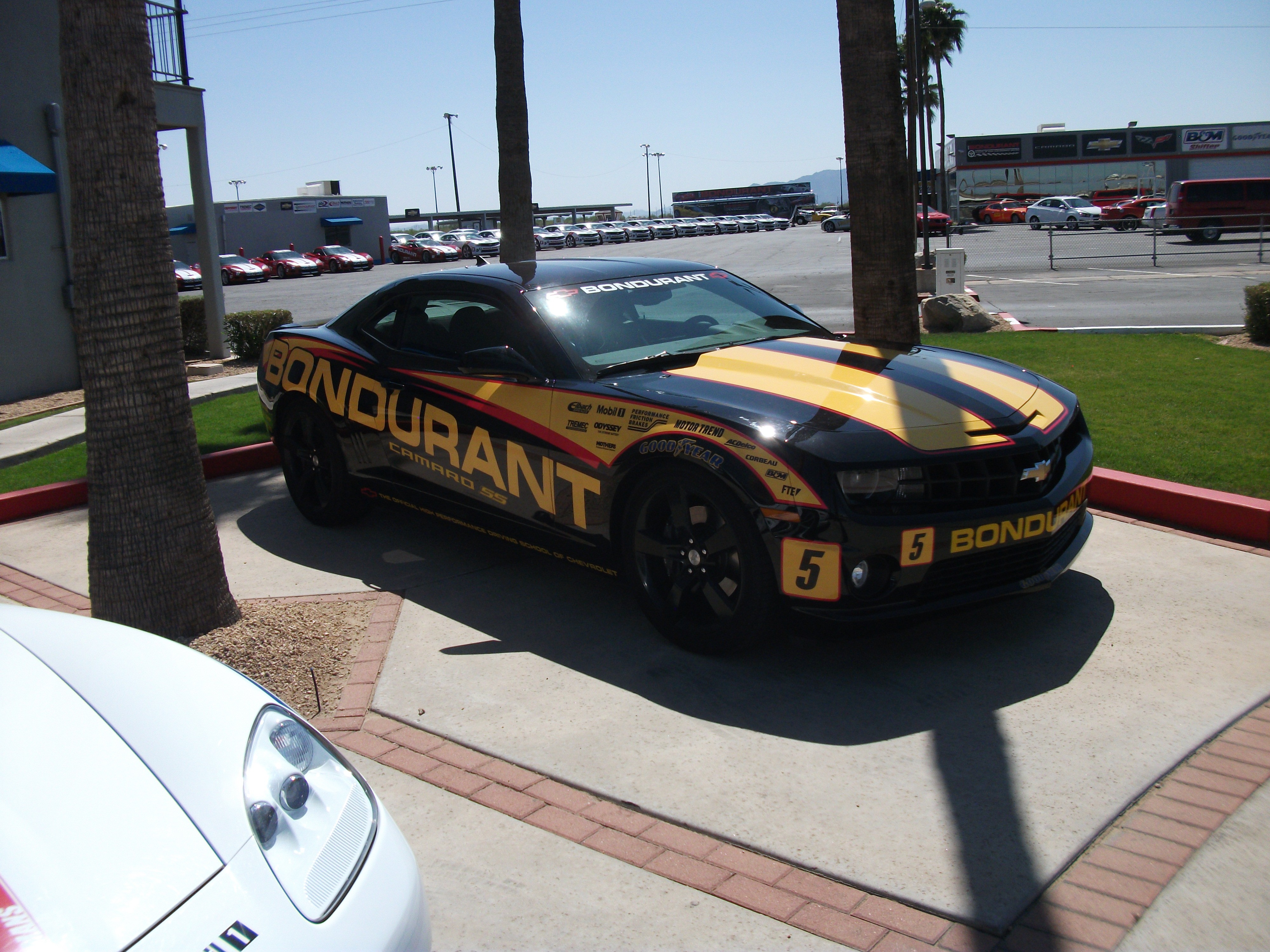 The black mustang is getting ready for the race