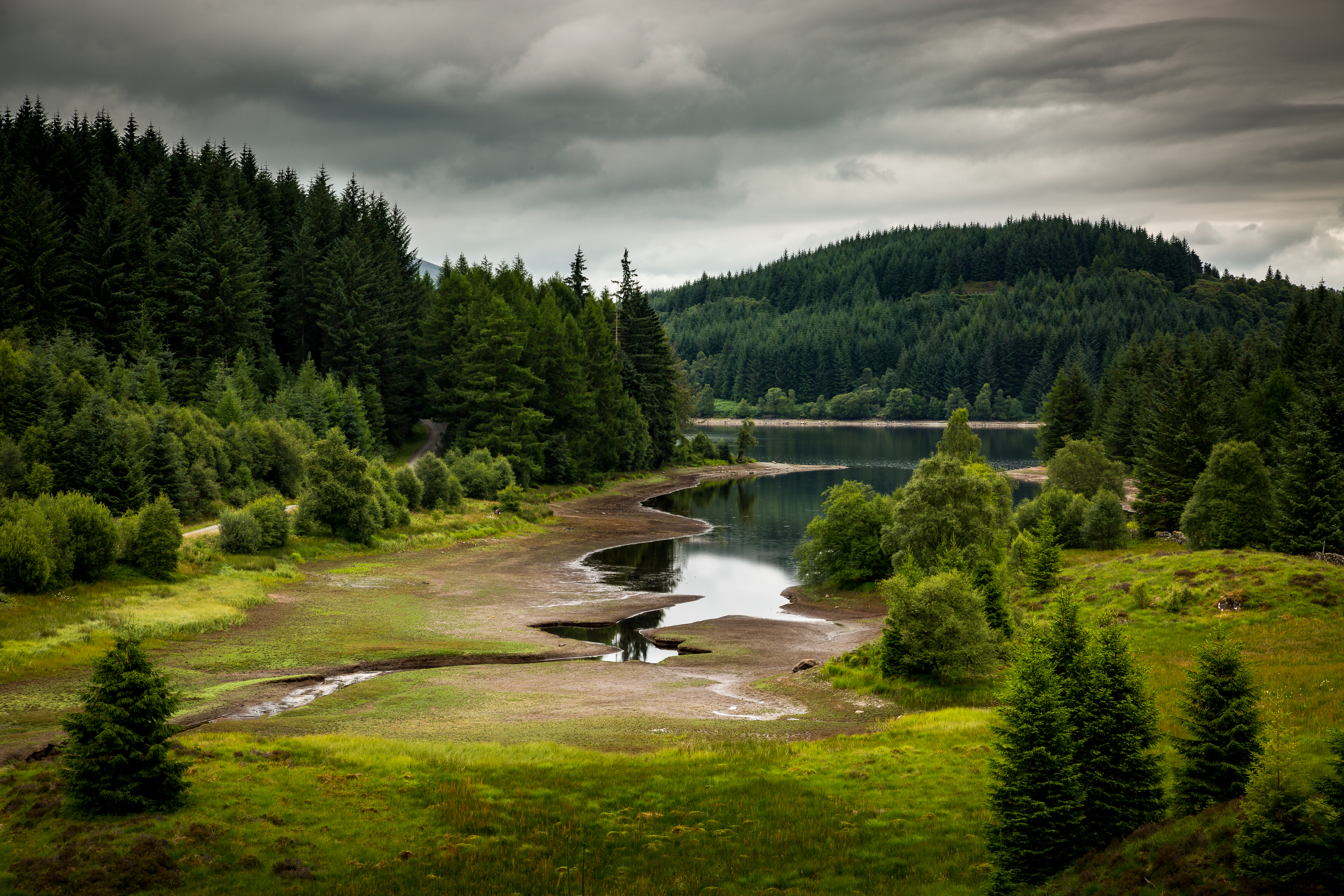 Wallpapers queen elizabeth forest park aberfoyle river on the desktop