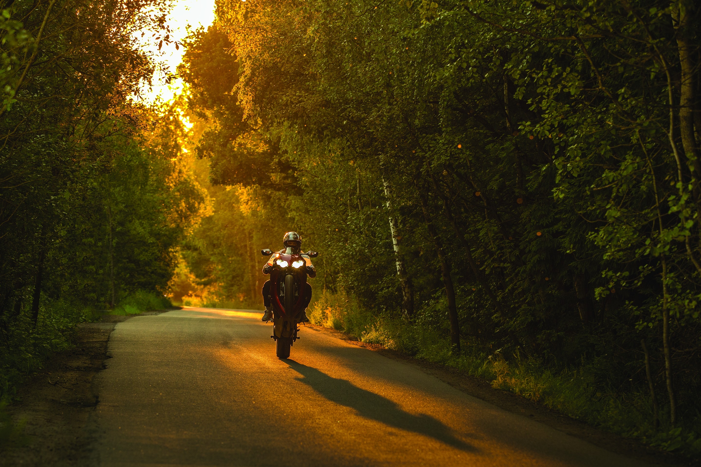 Honda cbr 1000 riding on the rear wheel through the woods at sunset
