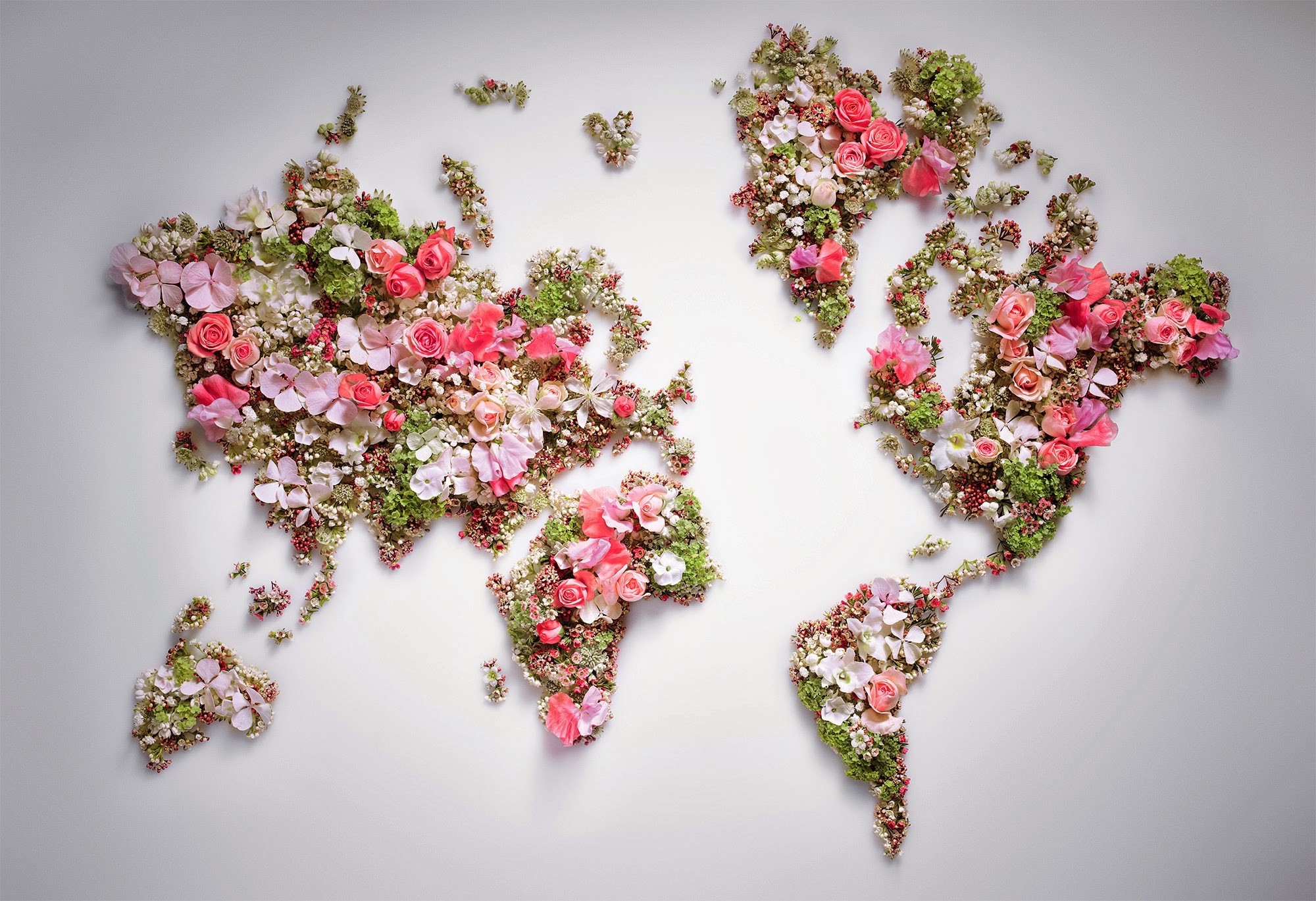 Обои цветы мир карта мира на рабочий стол