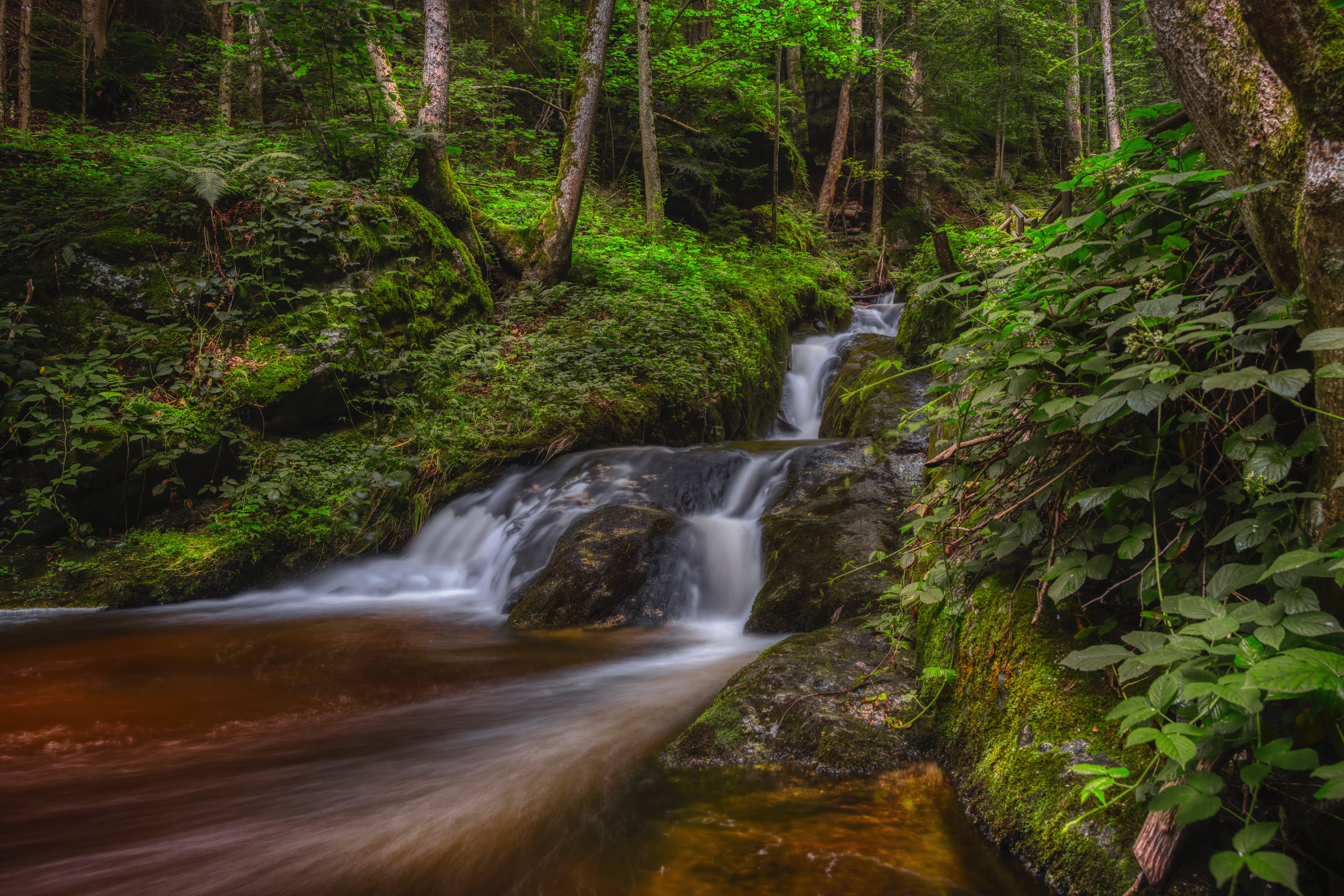 Wallpapers nature Austria creek on the desktop